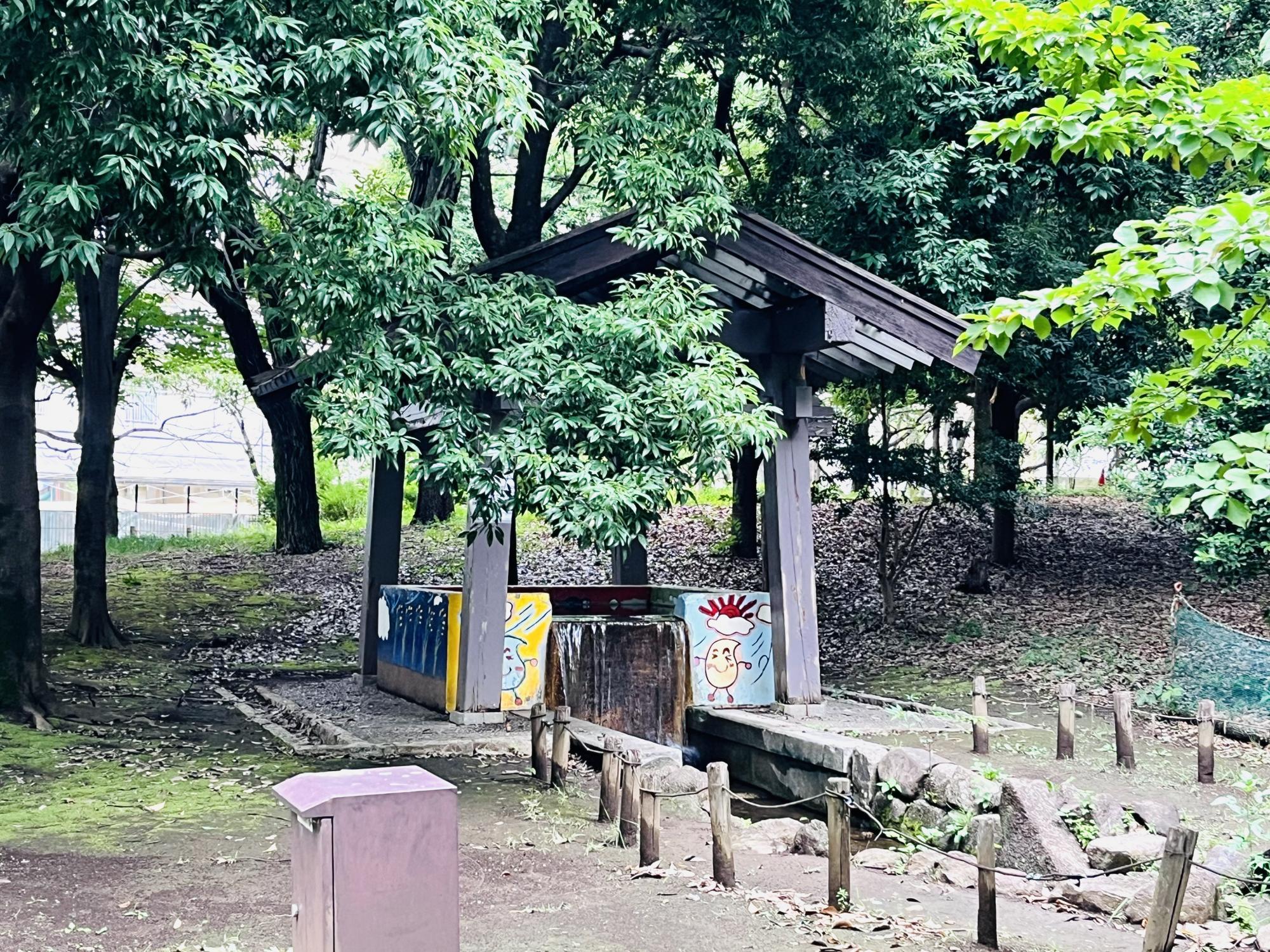 秋の陽公園