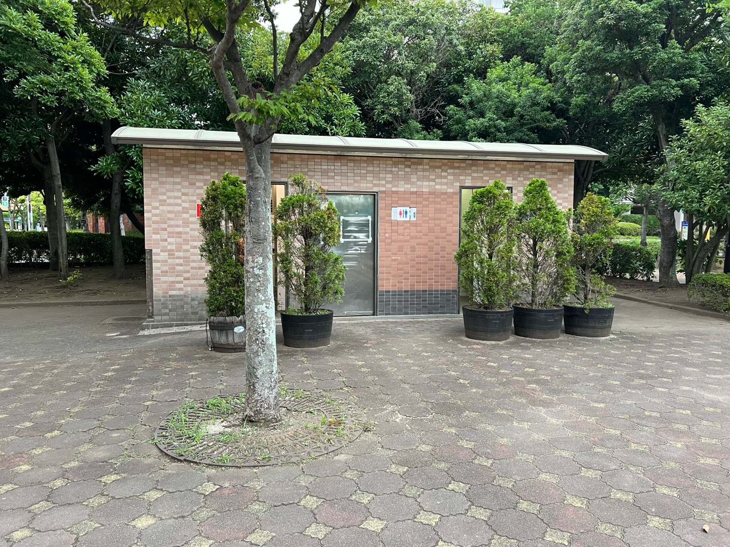 さざなみ公園