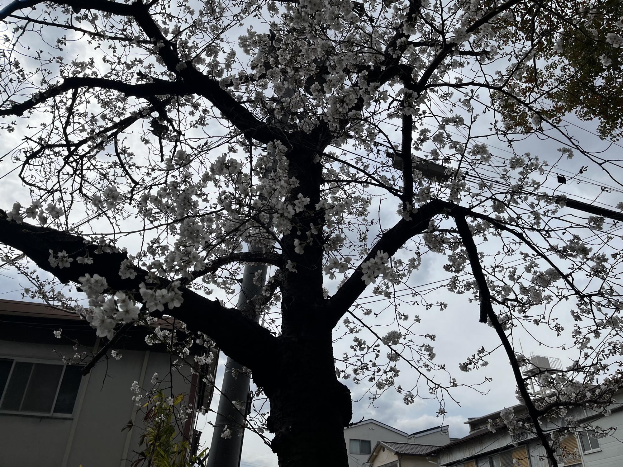 水明公園