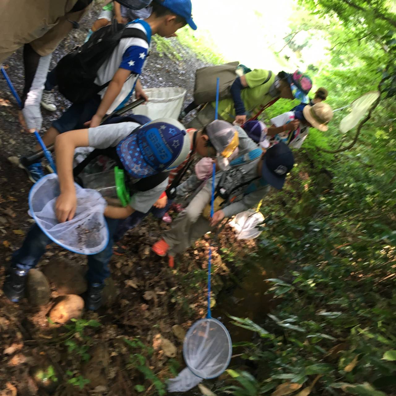 Ponteとやま  みやの森カフェ