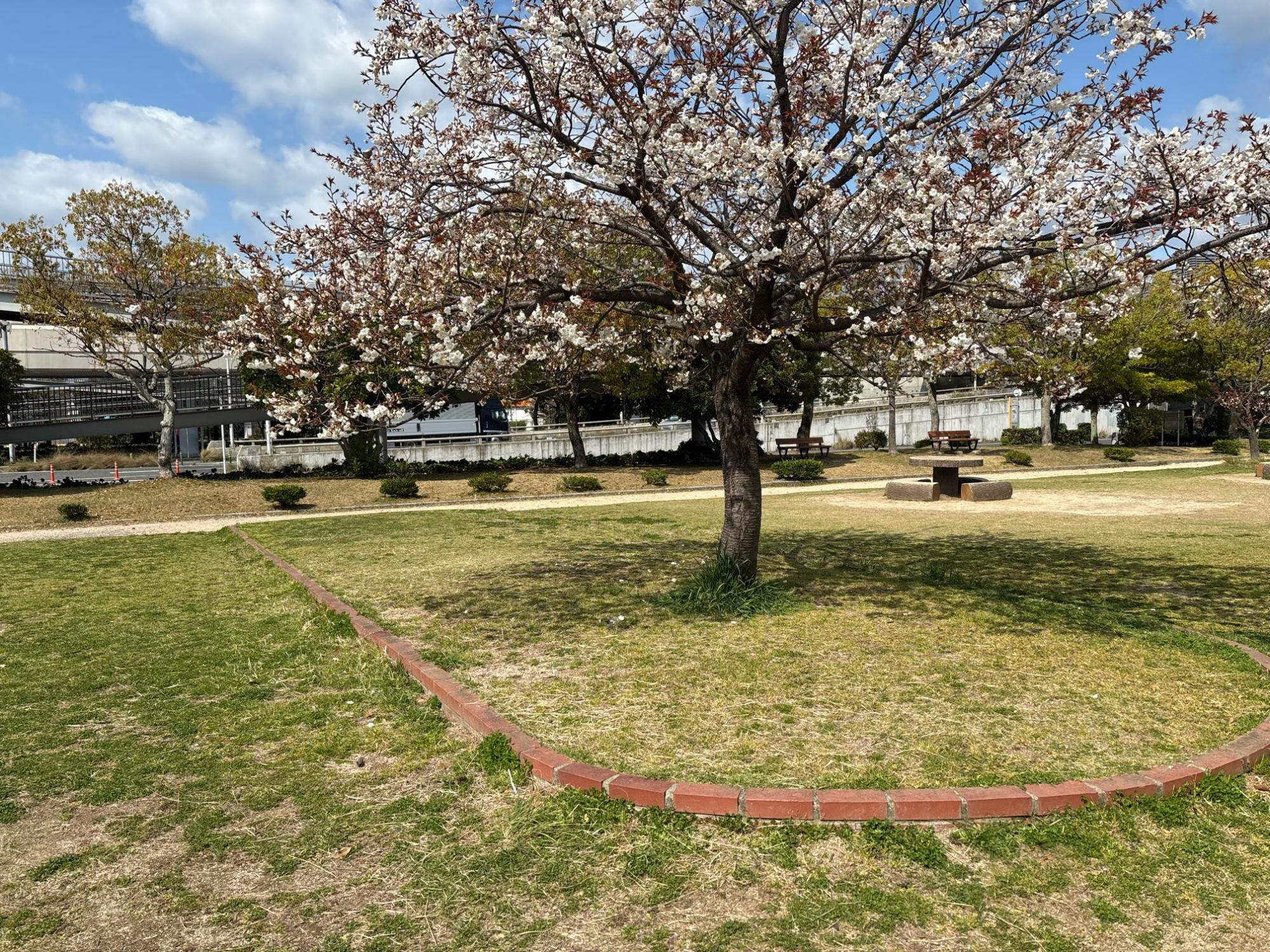 西部埋立第四公園