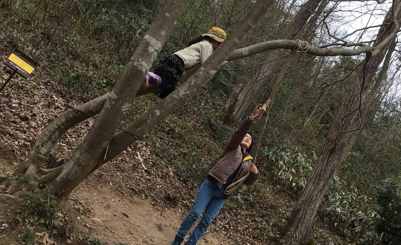 Ponteとやま  みやの森カフェ