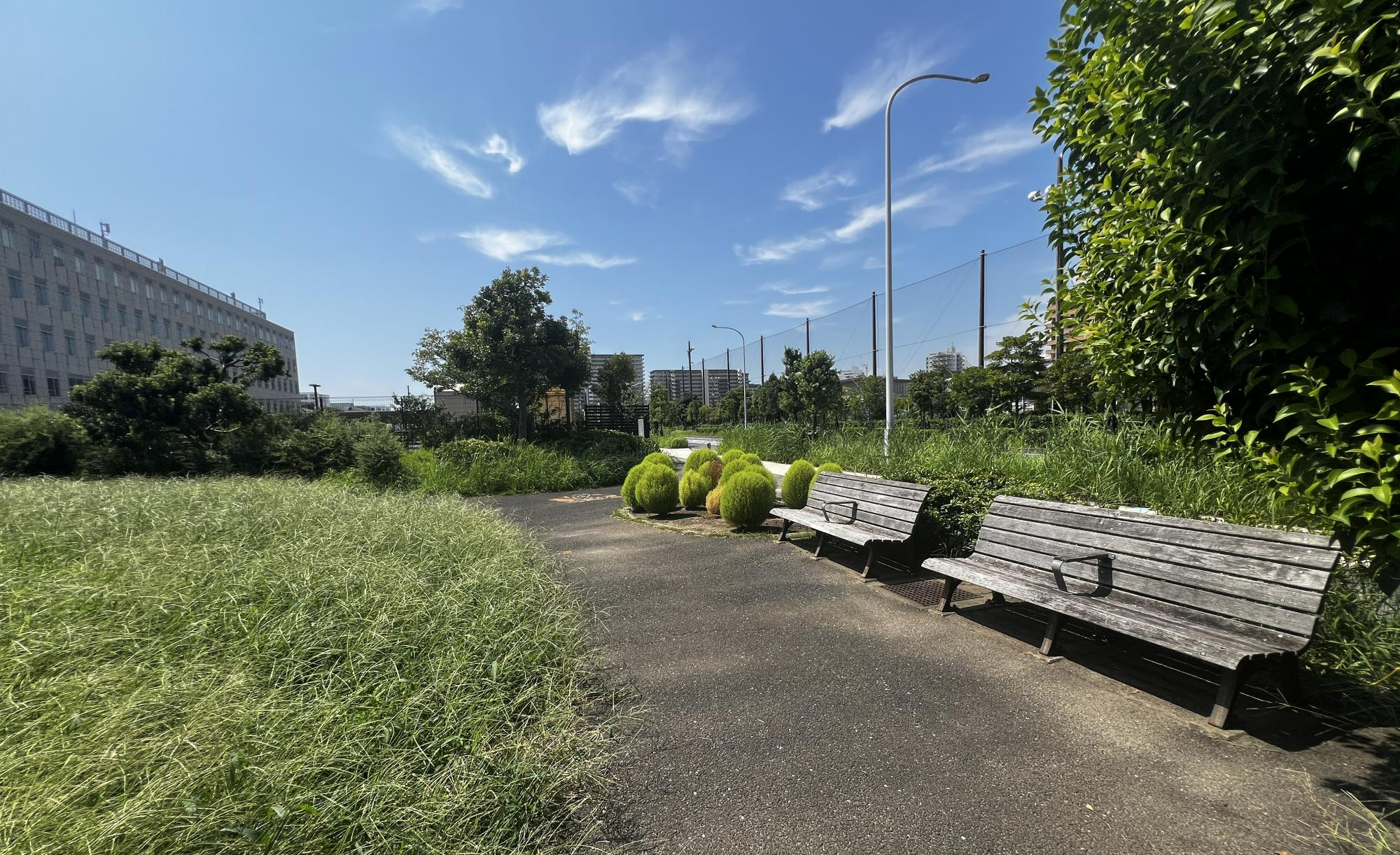 有明第4街区公園