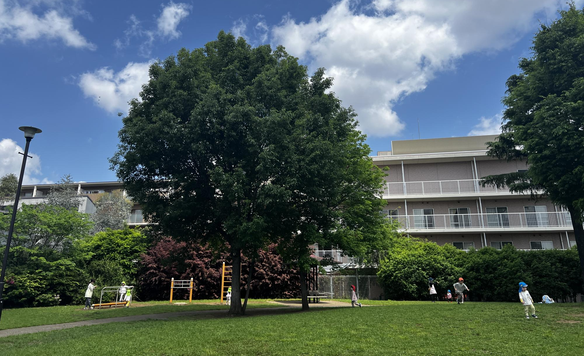 高円寺北一みどり公園