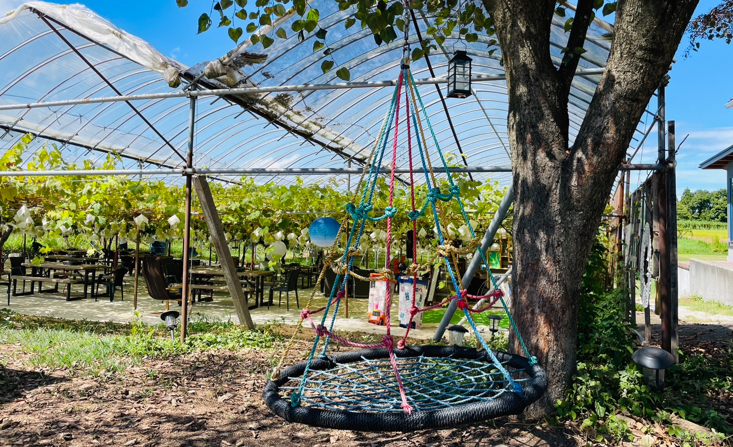 やまふじぶどう園