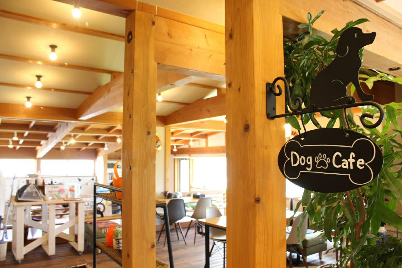 わんちゃんの広場ohana.(オハナ)