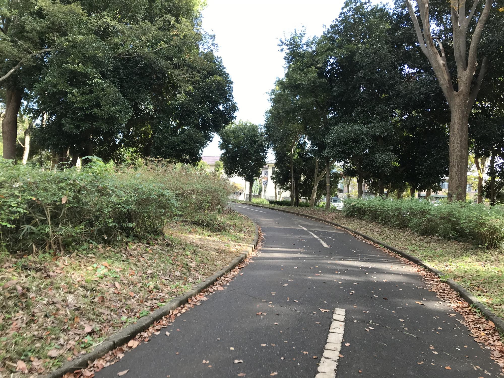 千葉県立行田公園