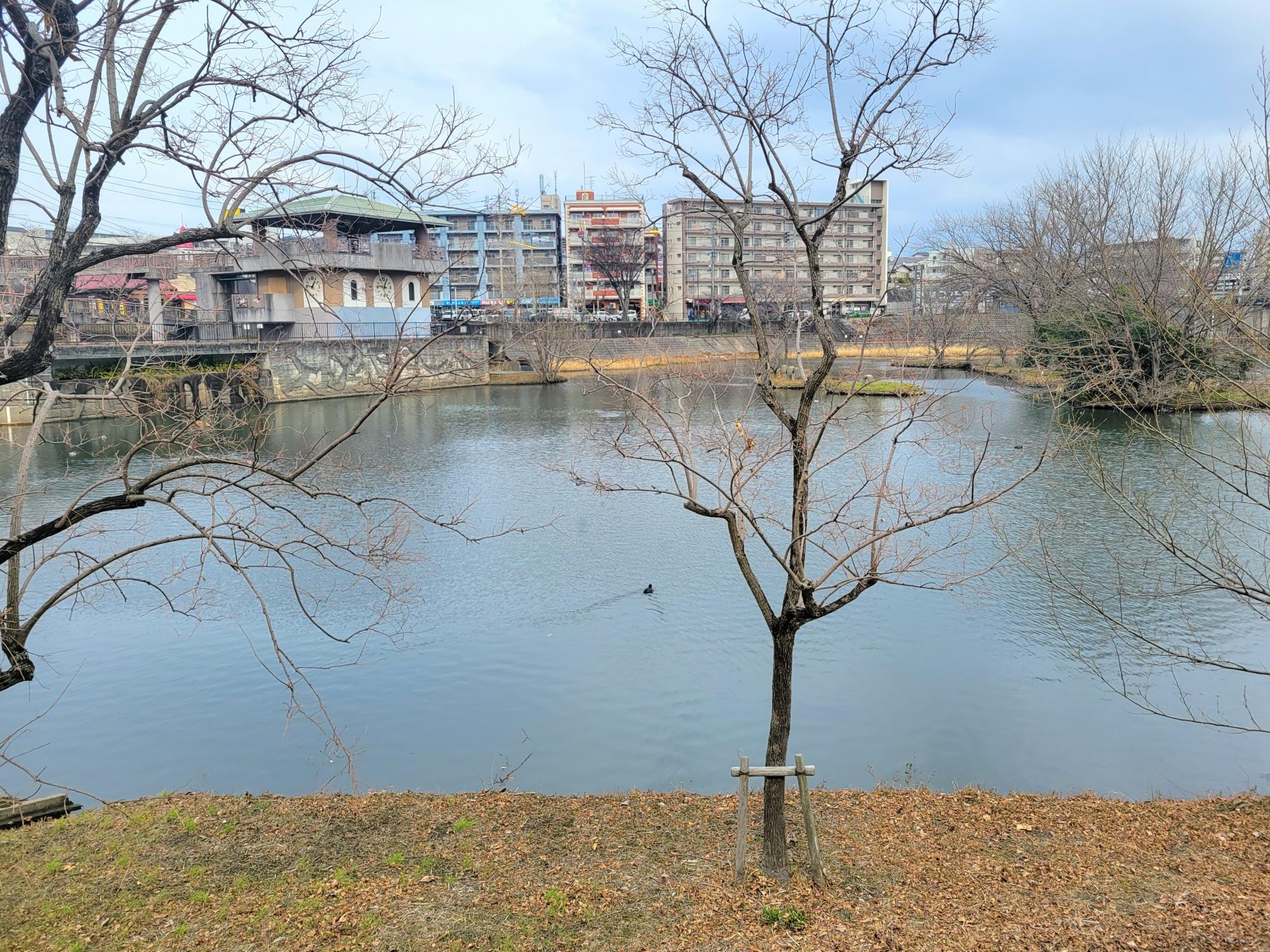 野間大池公園