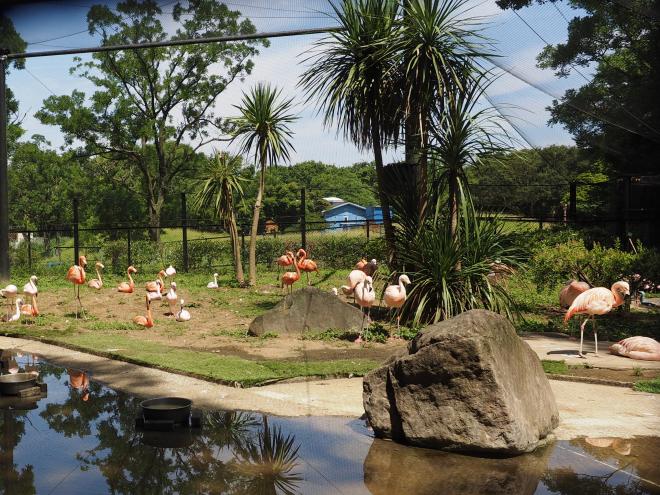 千葉市動物公園