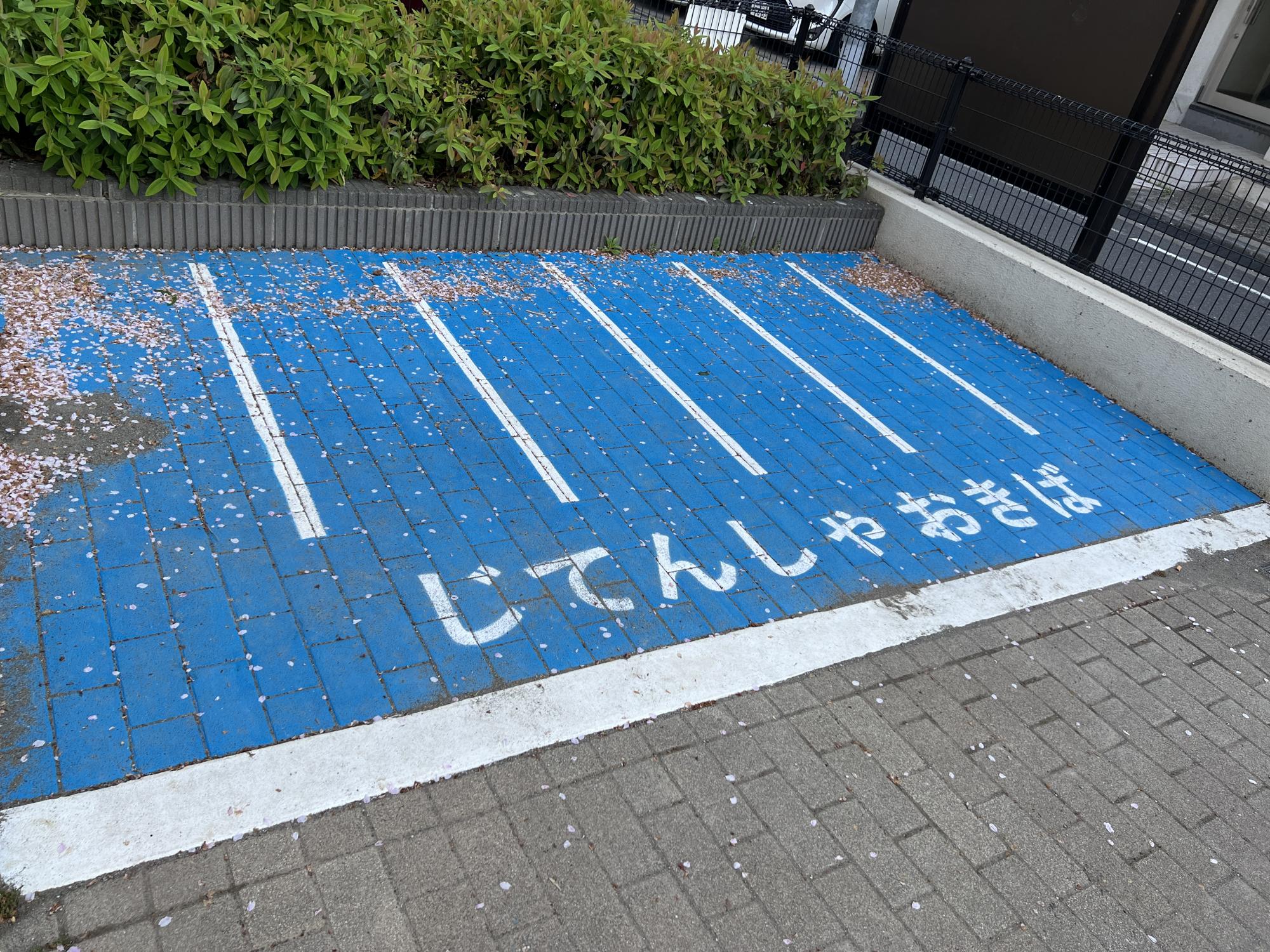 文京区立丸山新町公園