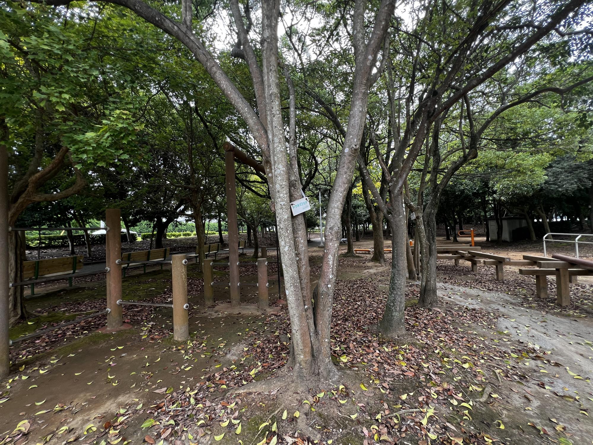 北磯辺第4公園