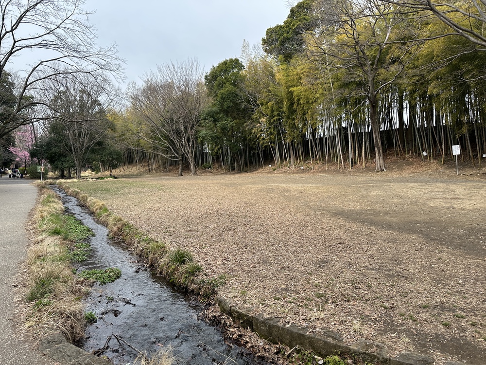 せせらぎ公園