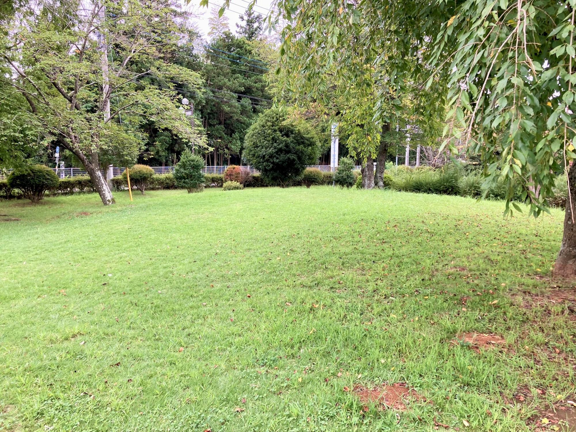 市民センターいわま(遊具広場)