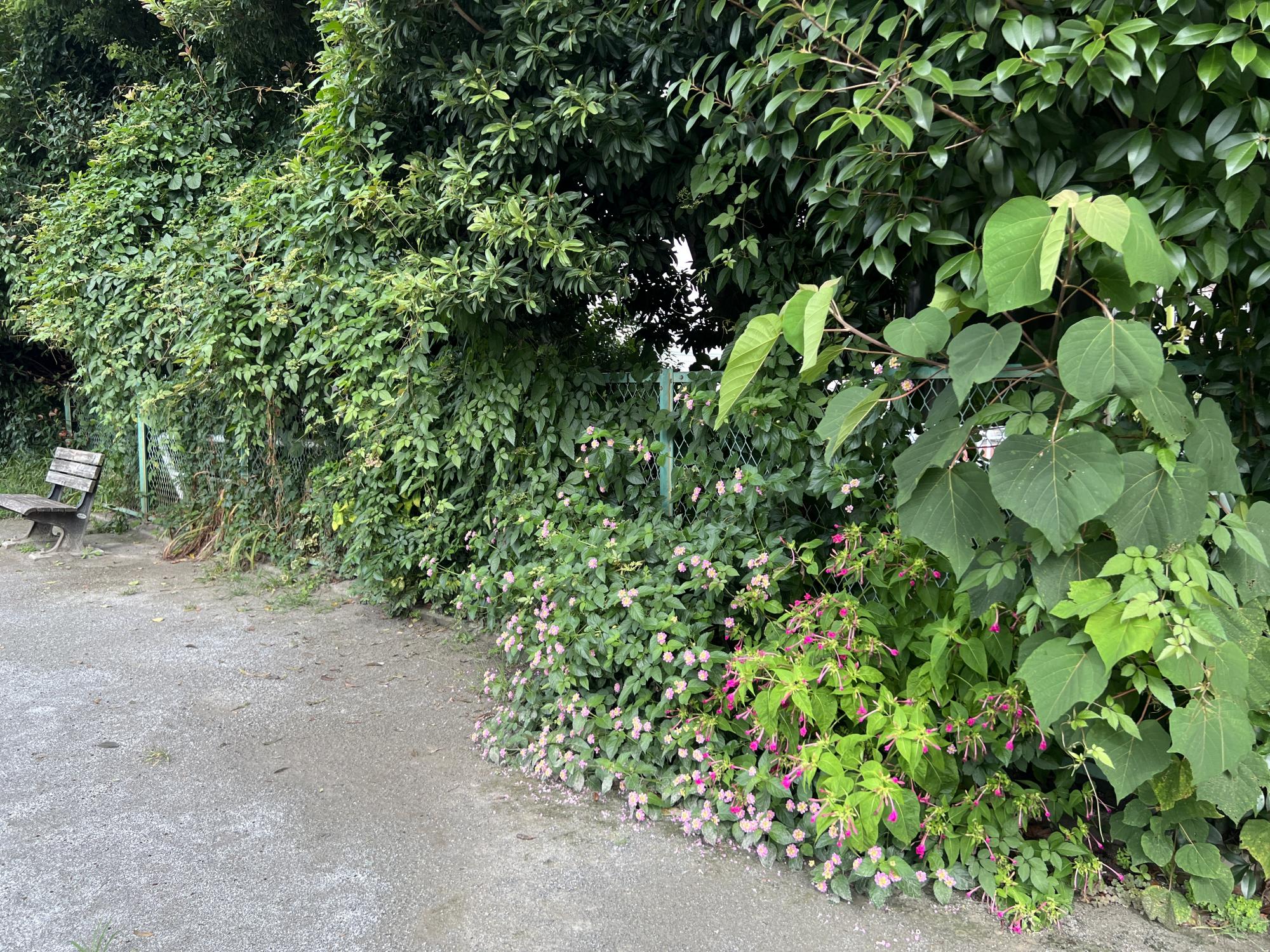 板橋区立幸町46番遊び場