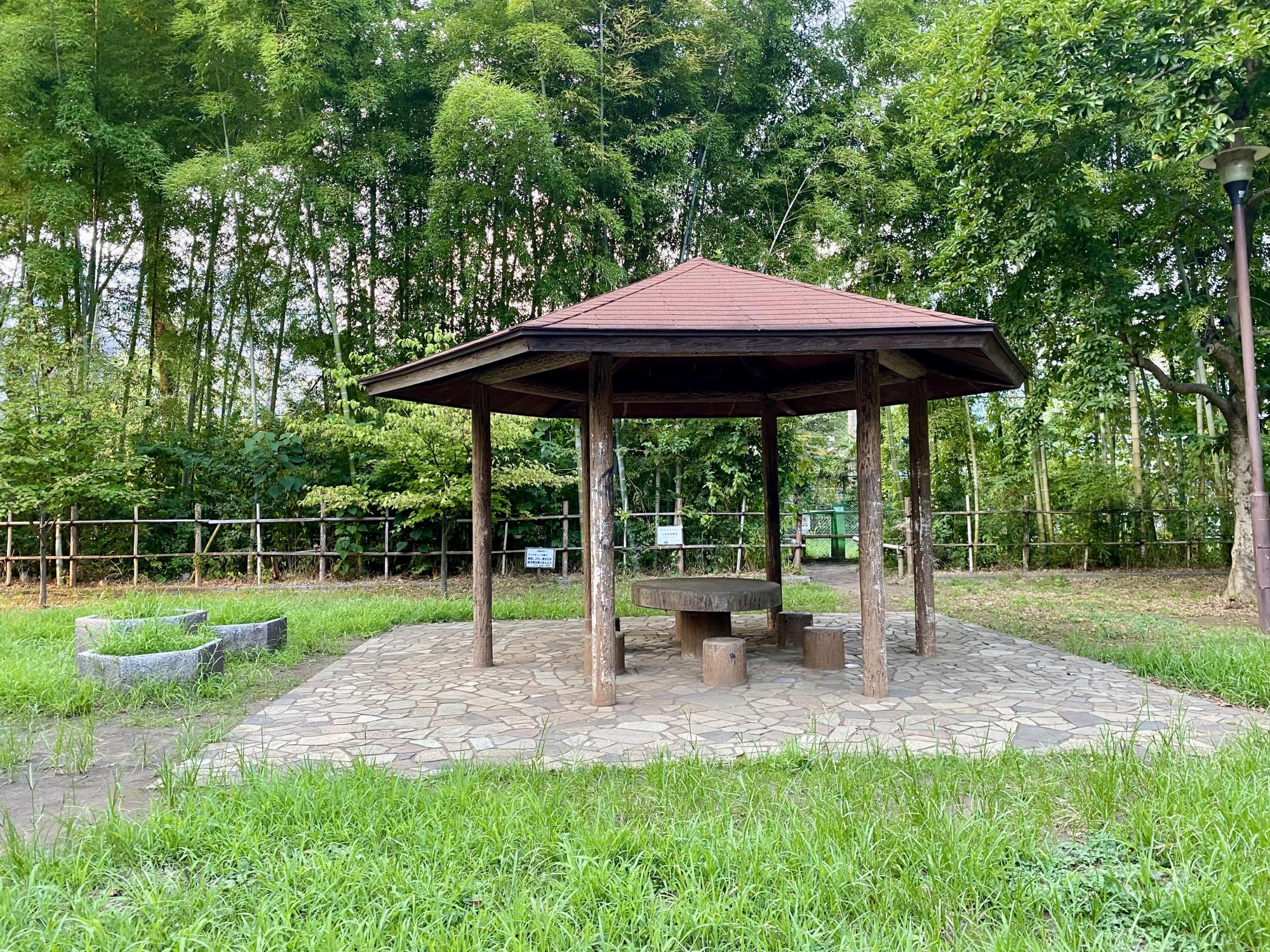 たけのこ公園