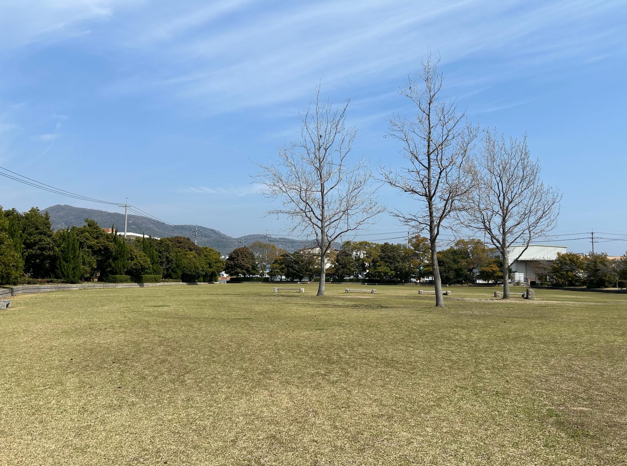 田井みなと公園
