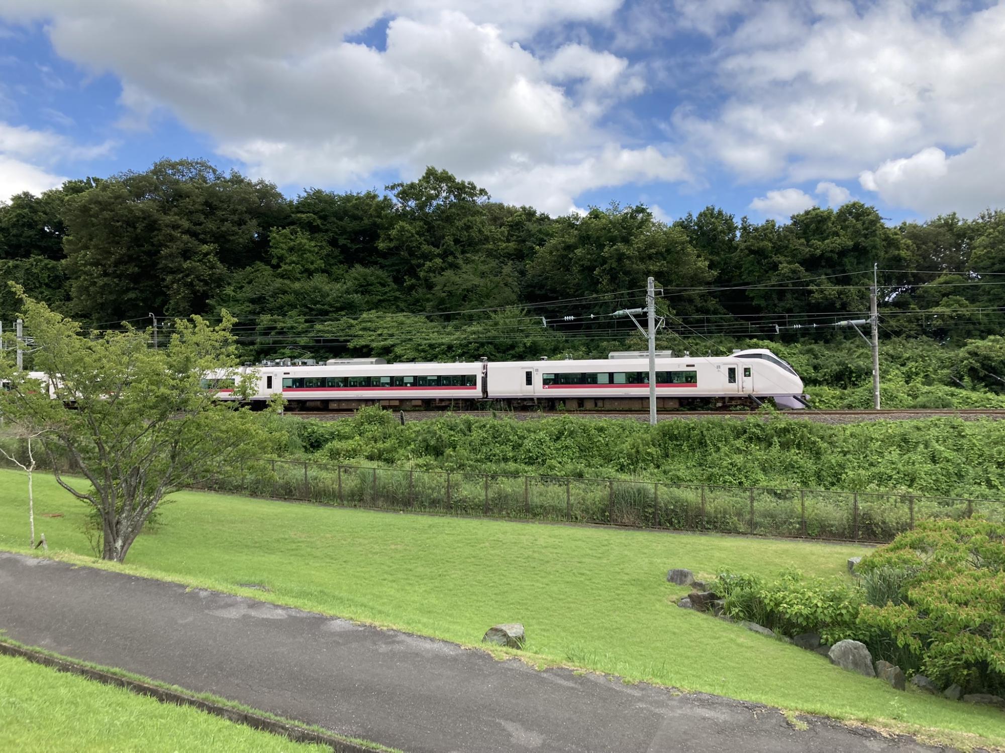 ふる里の杜公園