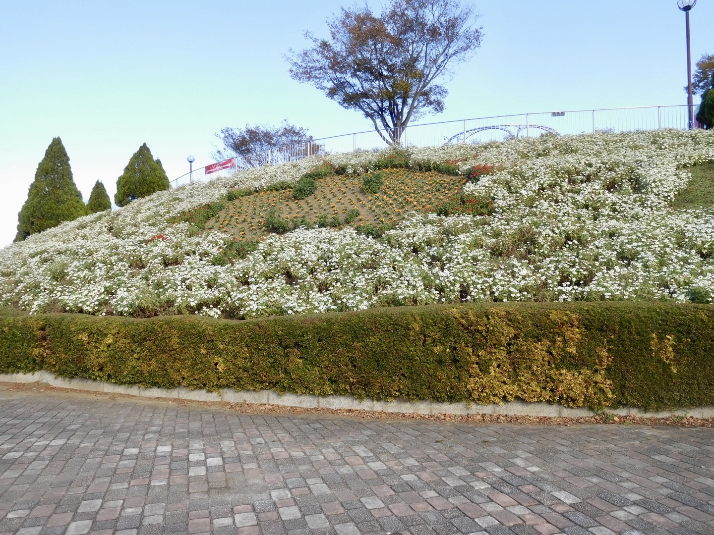 相模原麻溝公園