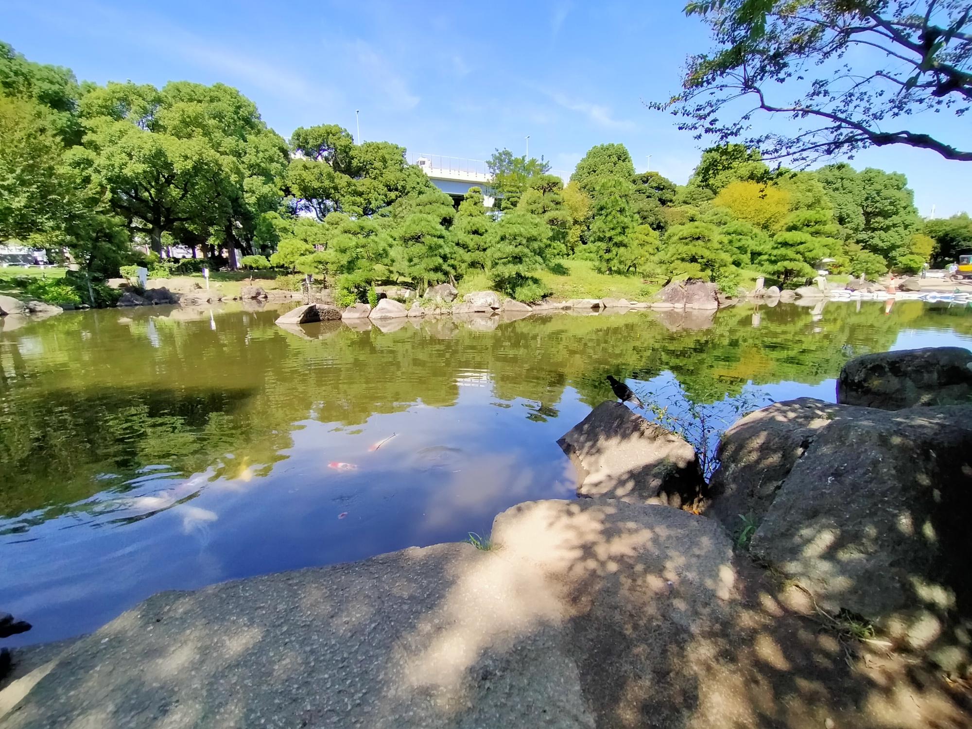 墨田区立隅田公園