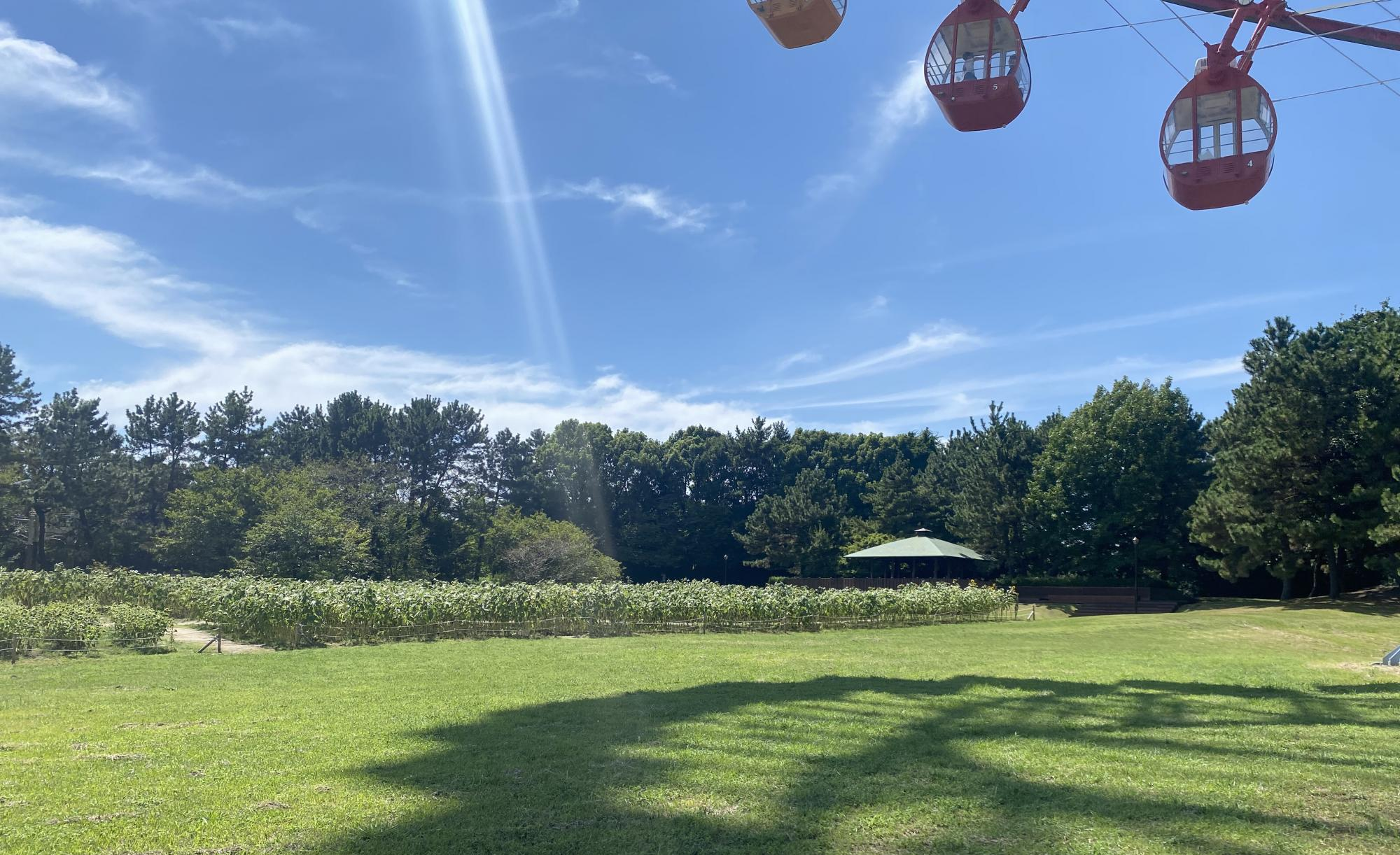 葛西臨海公園｜葛西海浜公園