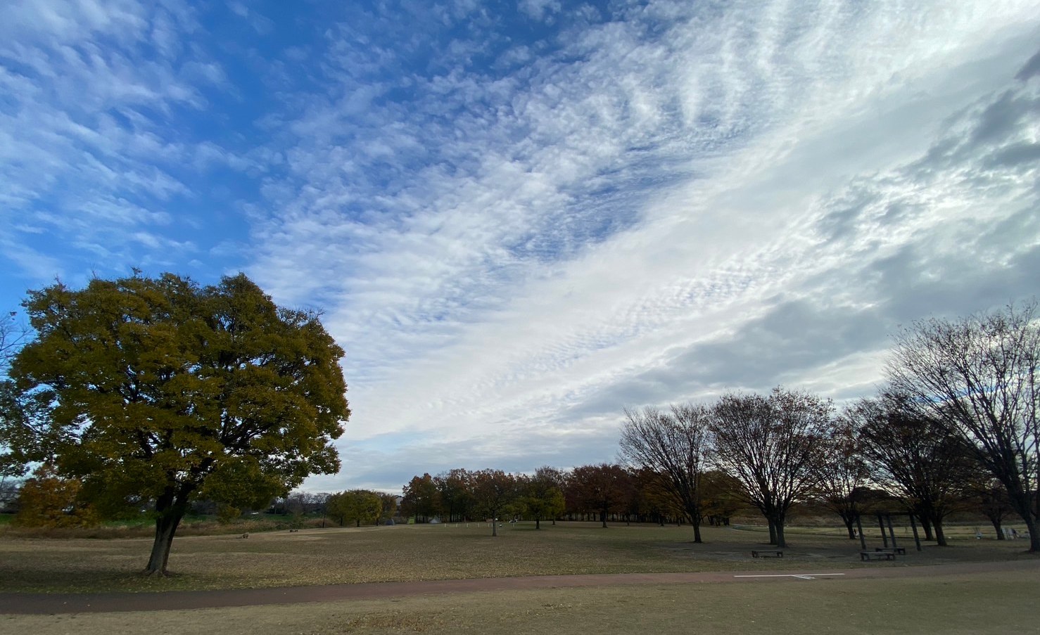 びん沼自然公園