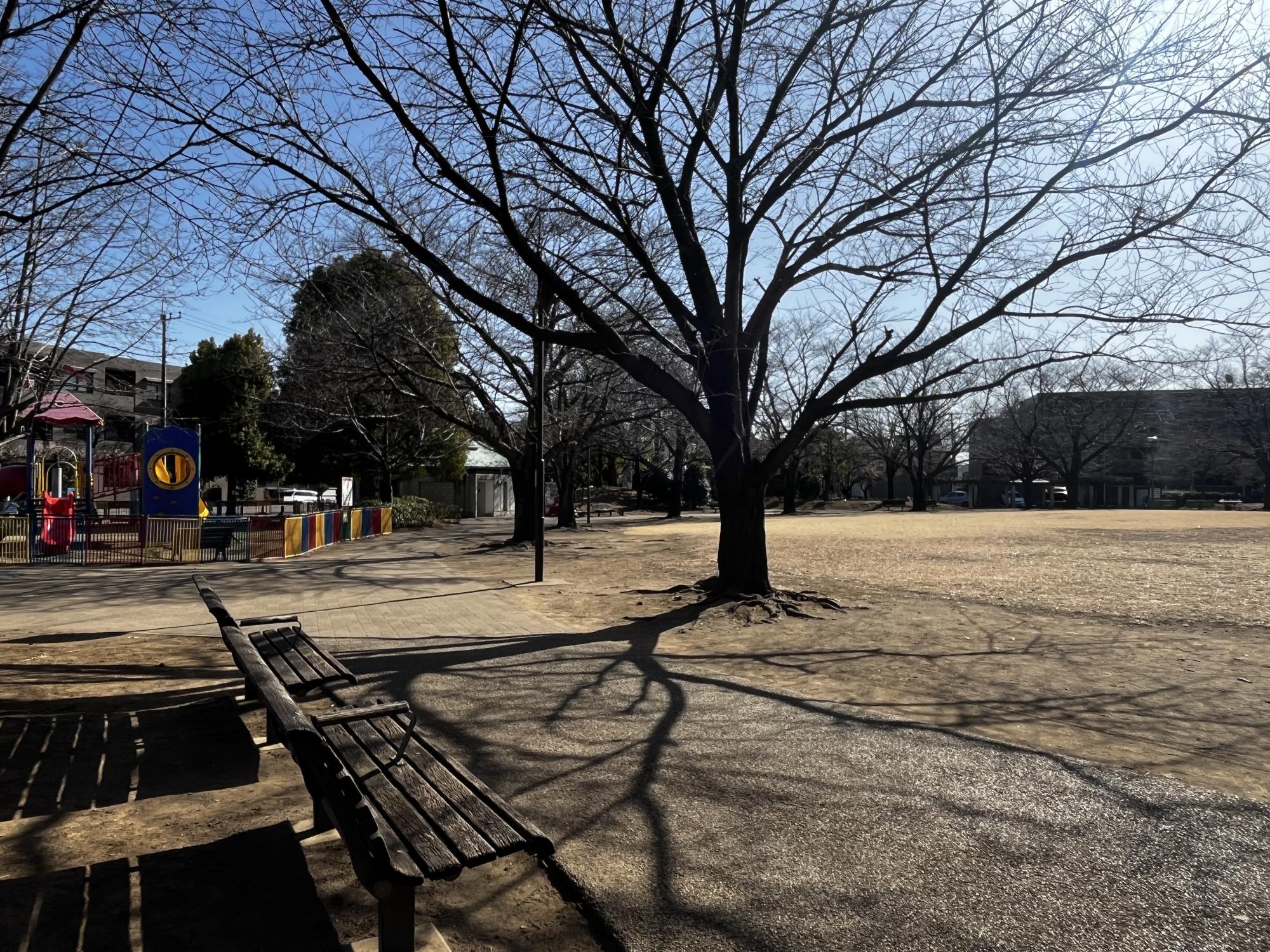 勝瀬原記念公園
