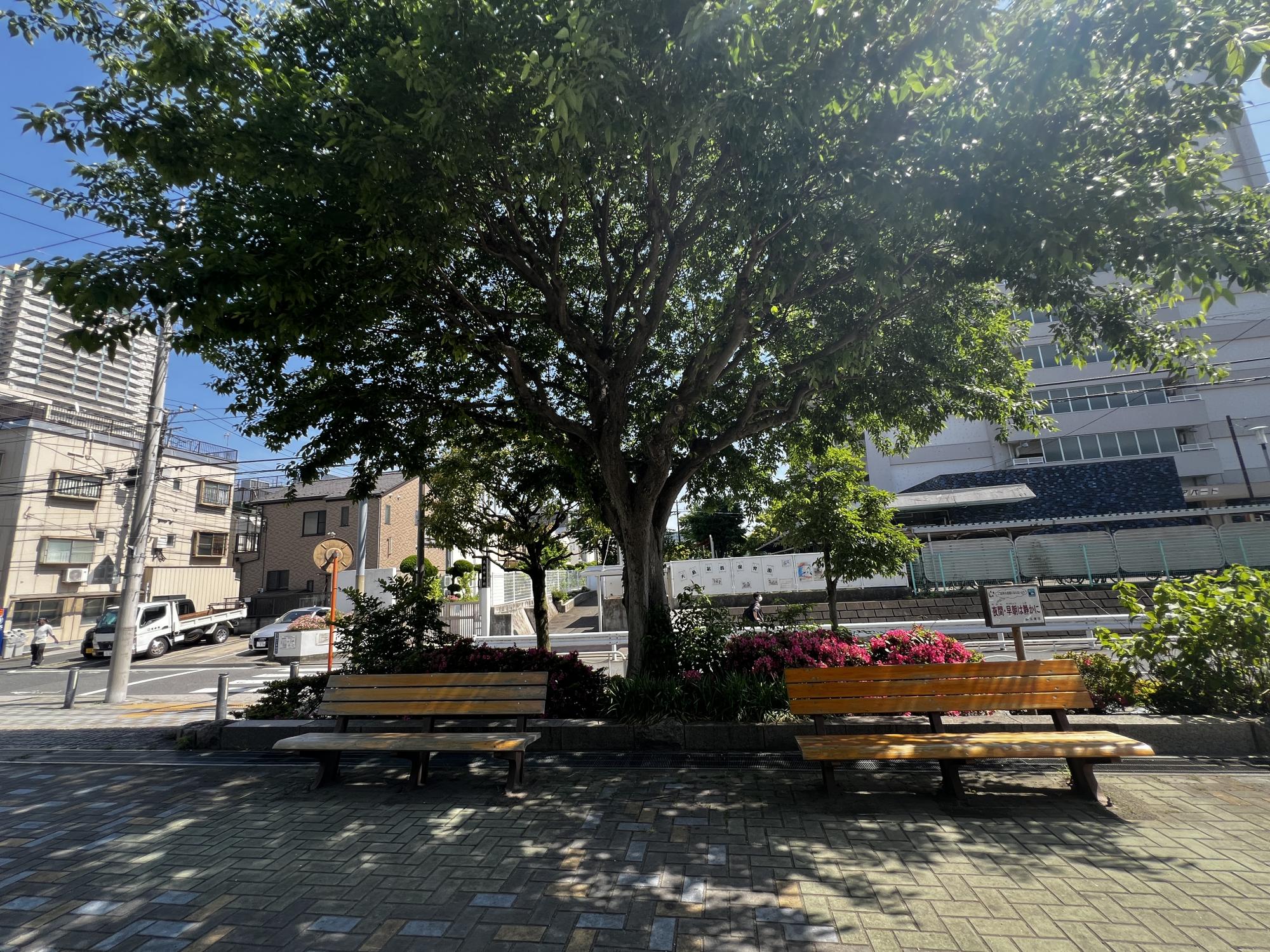 大島八丁目公園