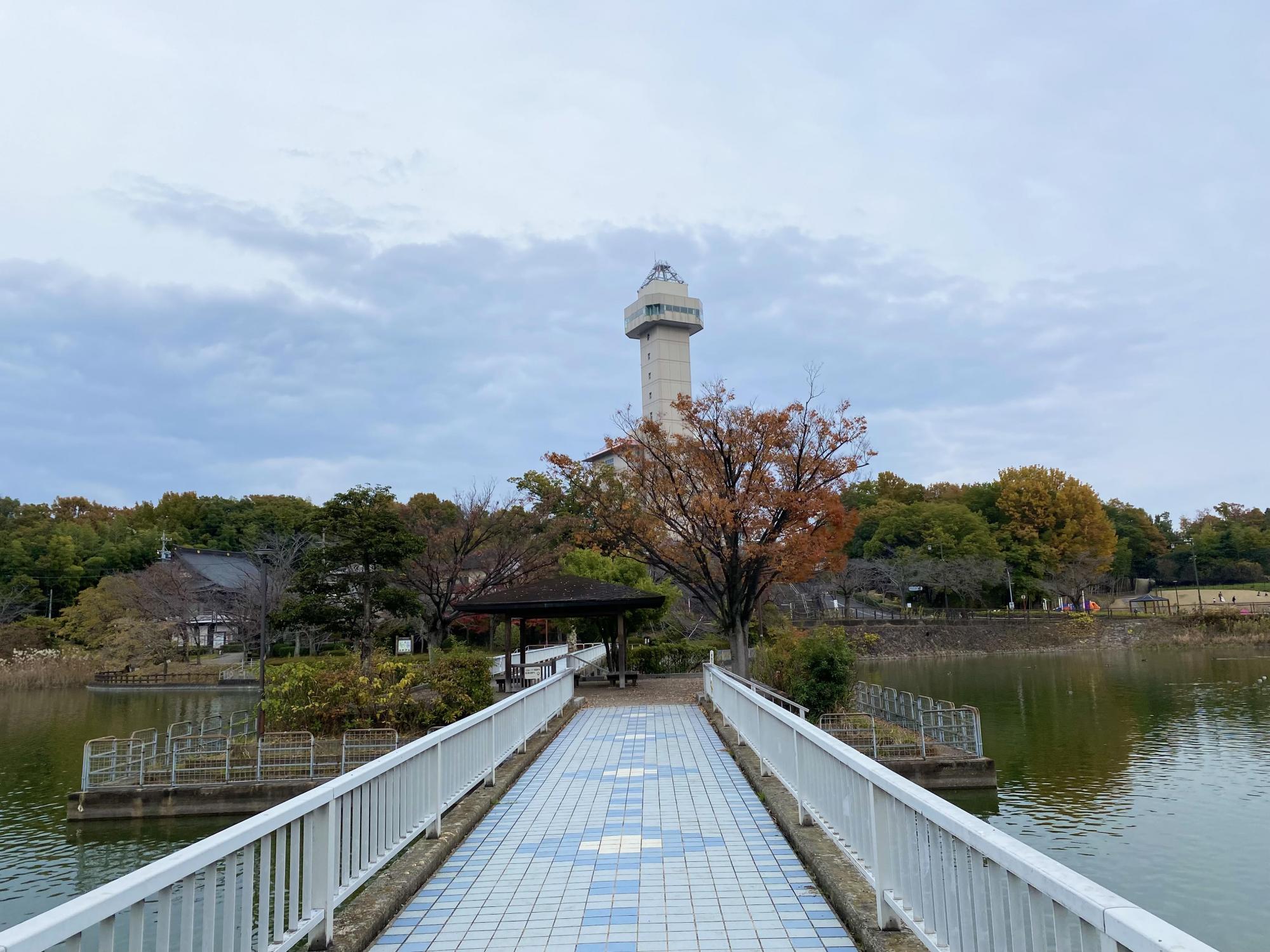城山公園