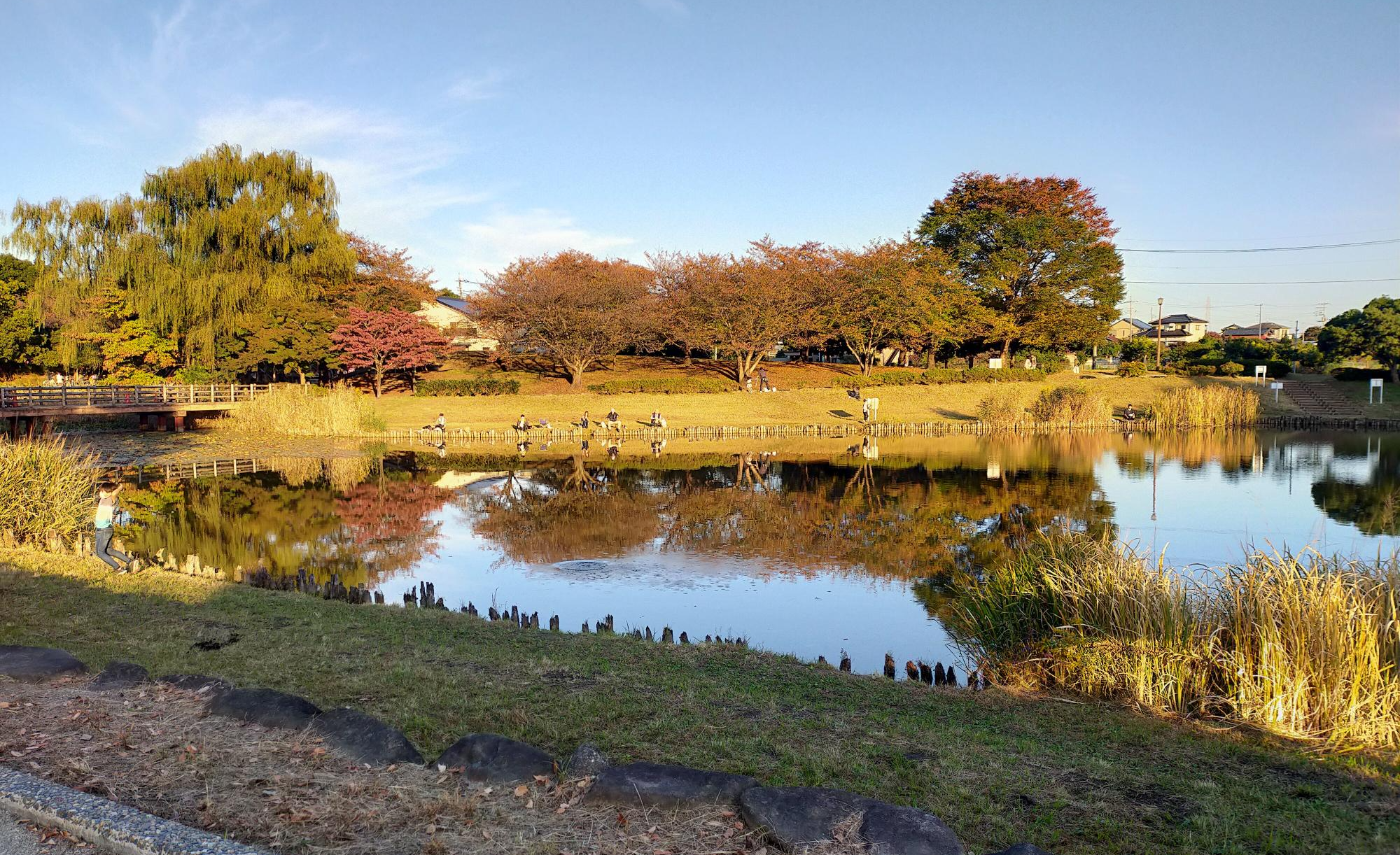 西城沼公園
