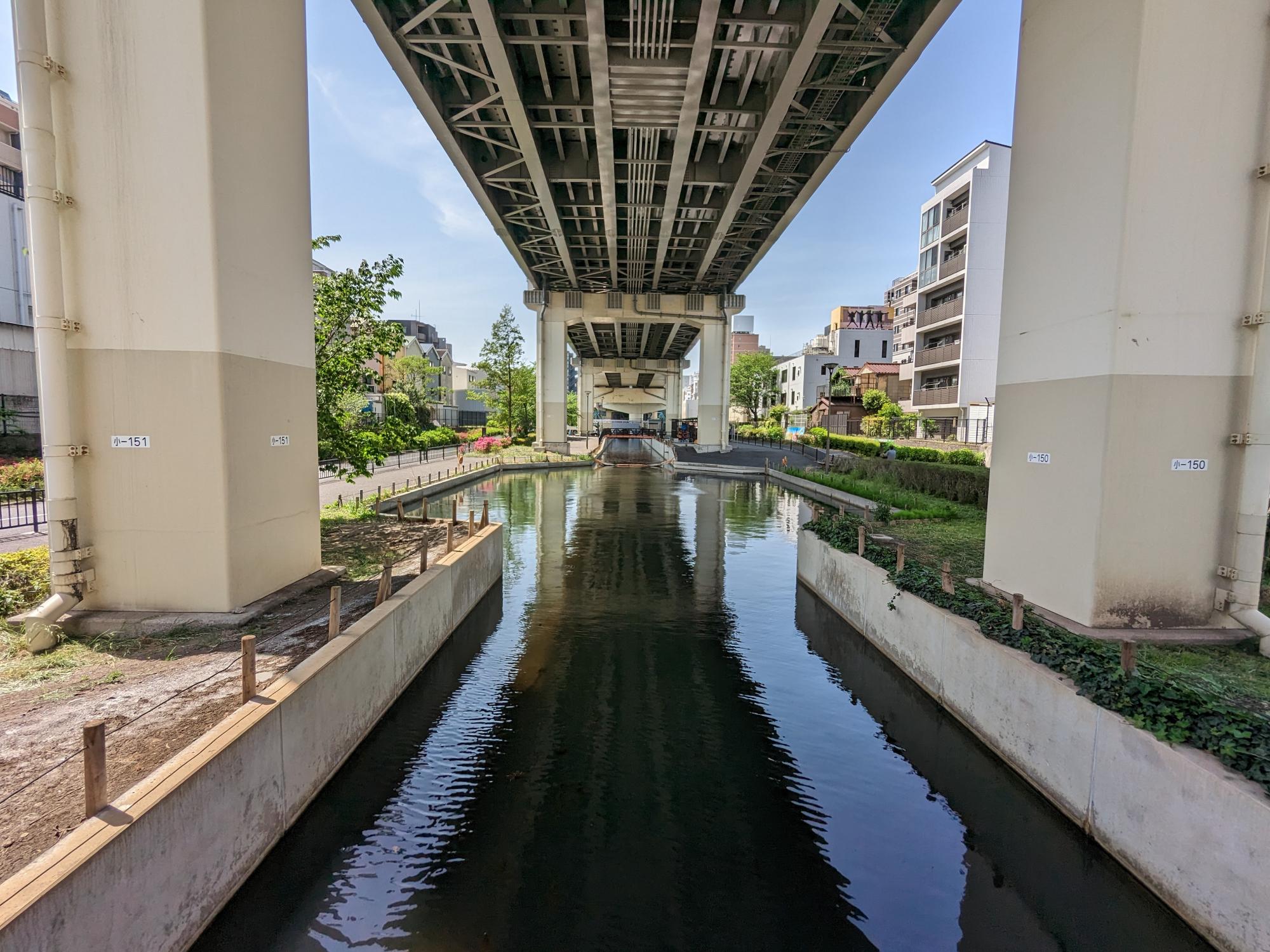 堅川河川敷公園