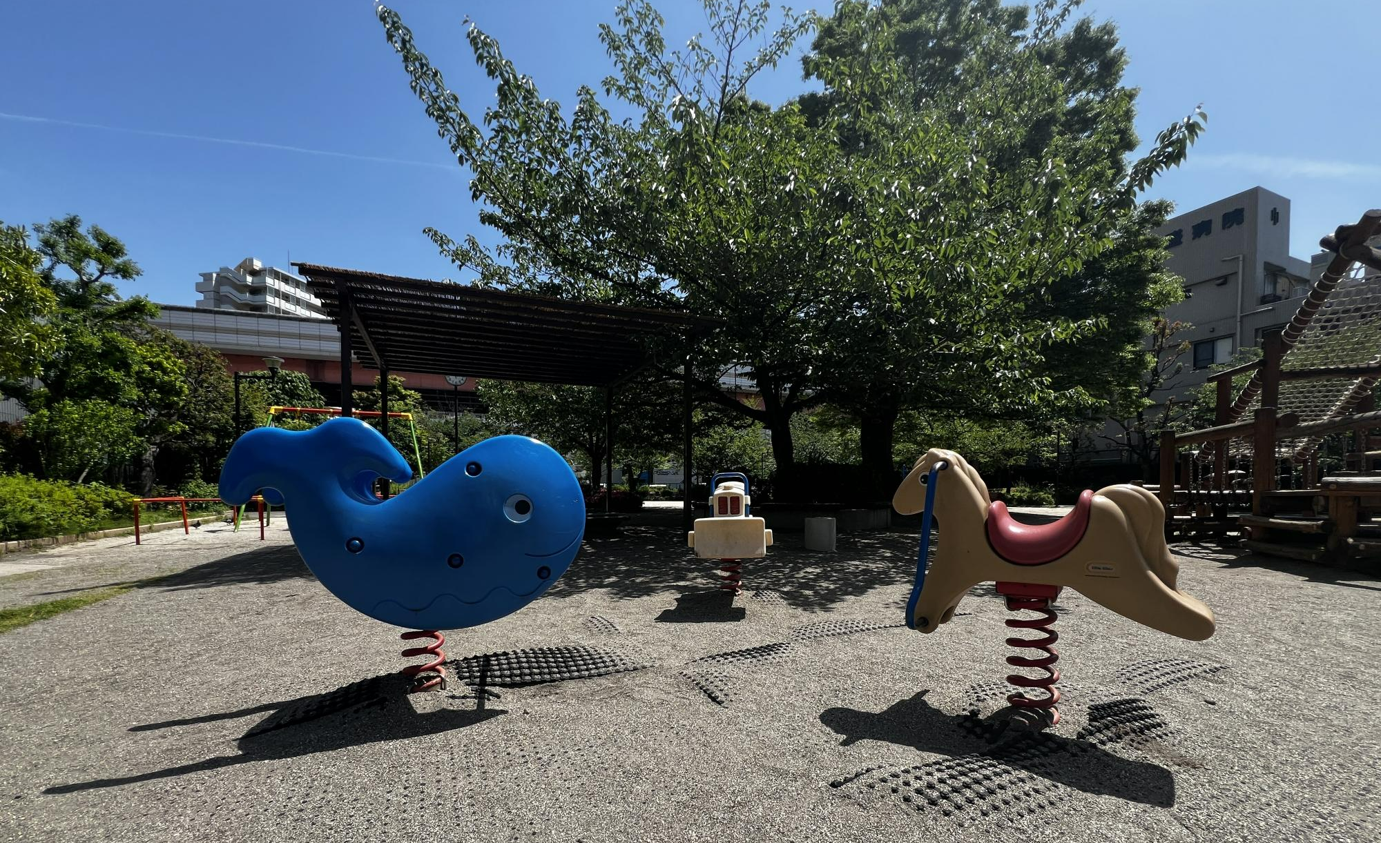 小松川たんぽぽ公園