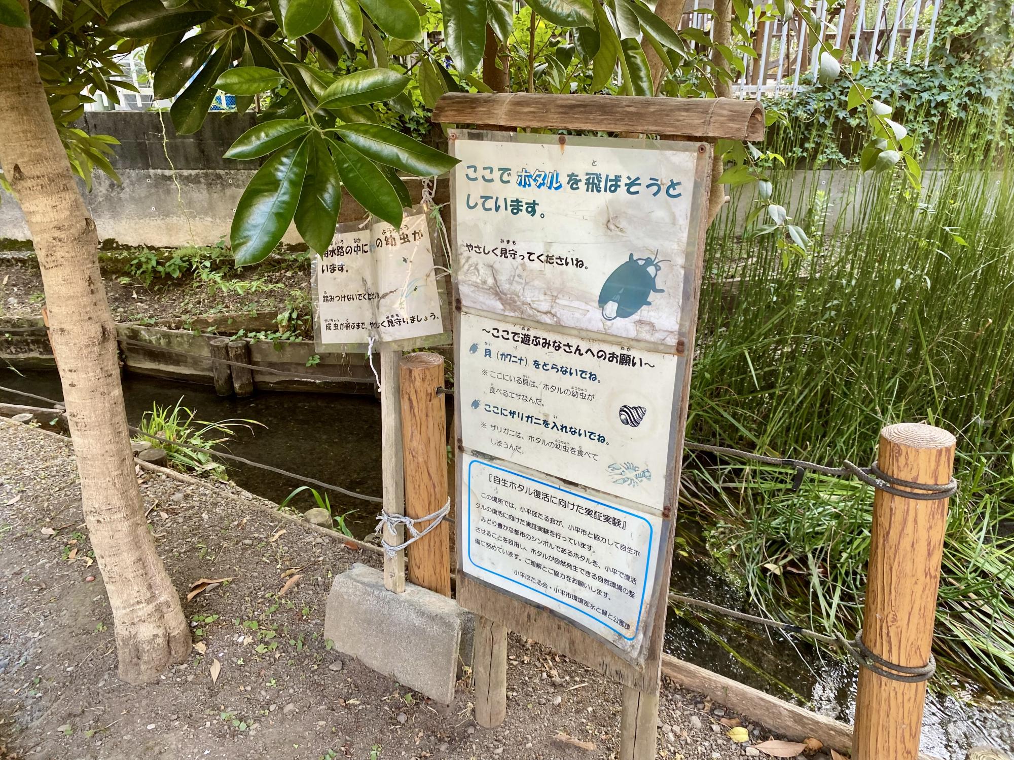 あじさい公園