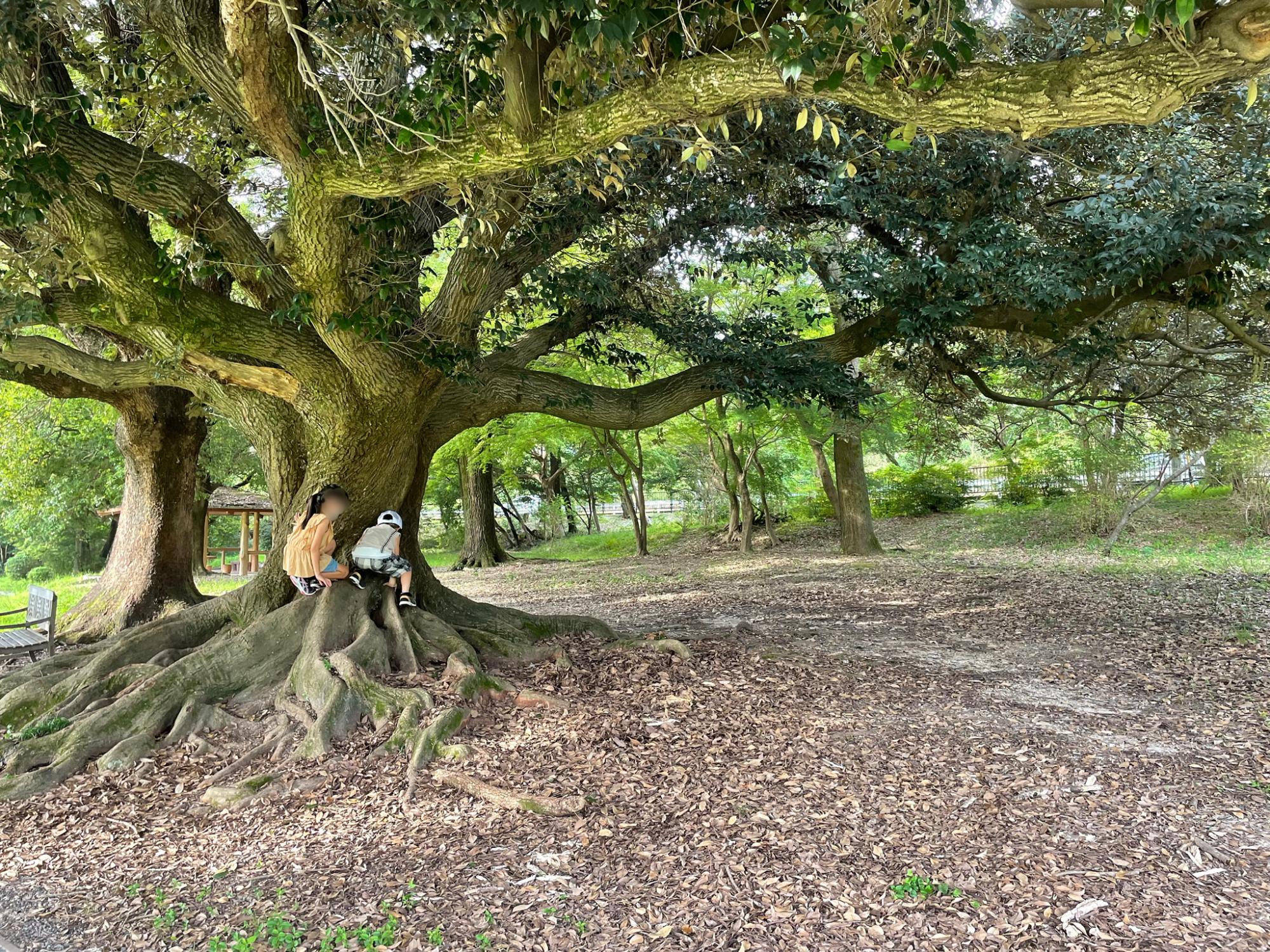 愛知森林公園