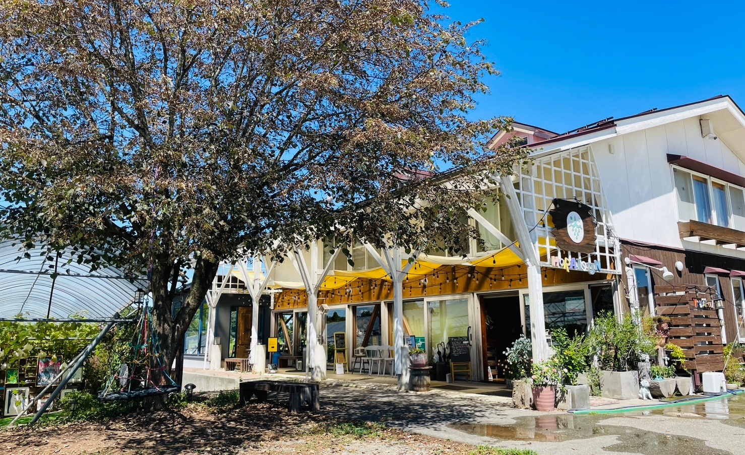 やまふじぶどう園