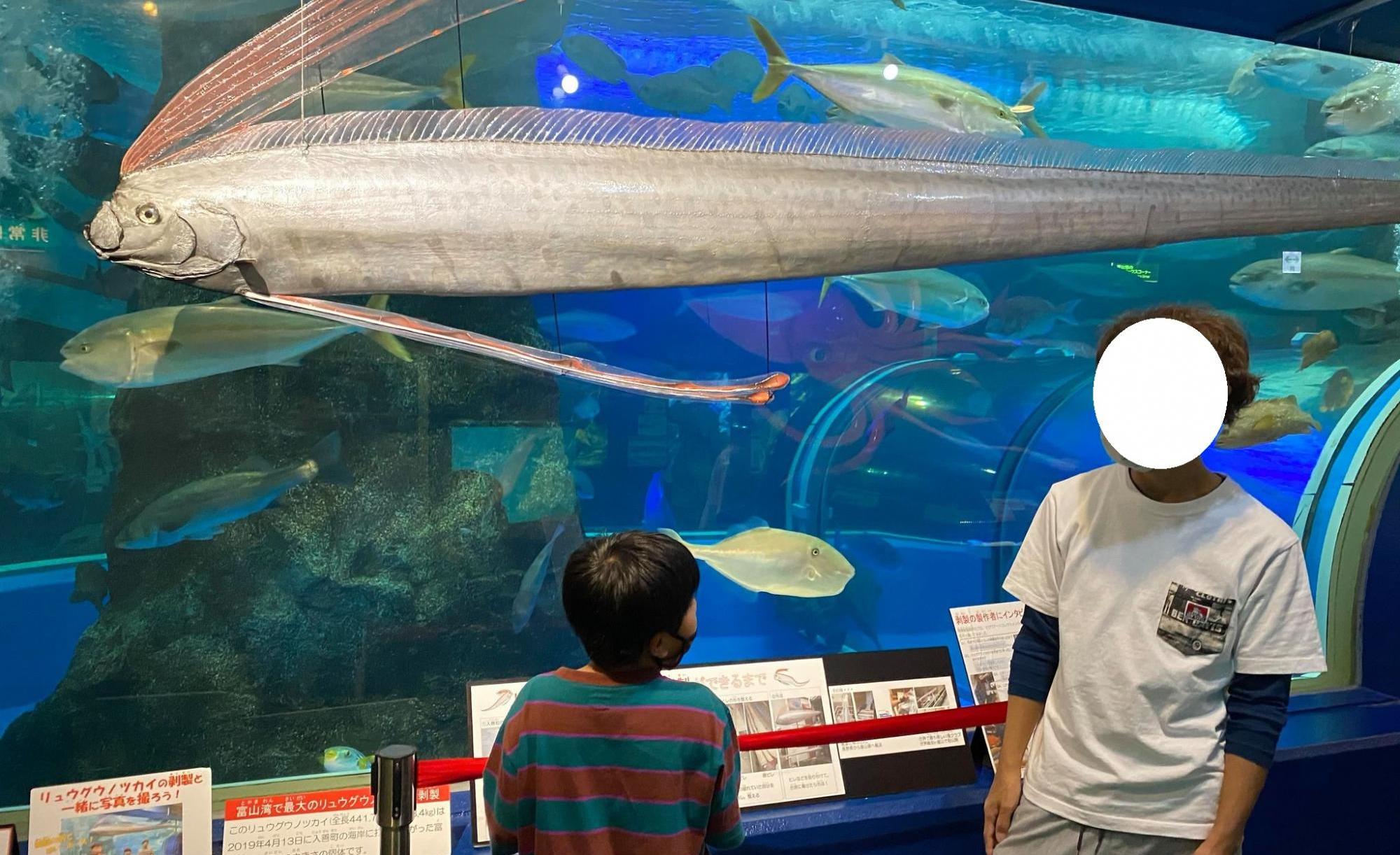 魚津水族館｜富山　魚津　おでかけ