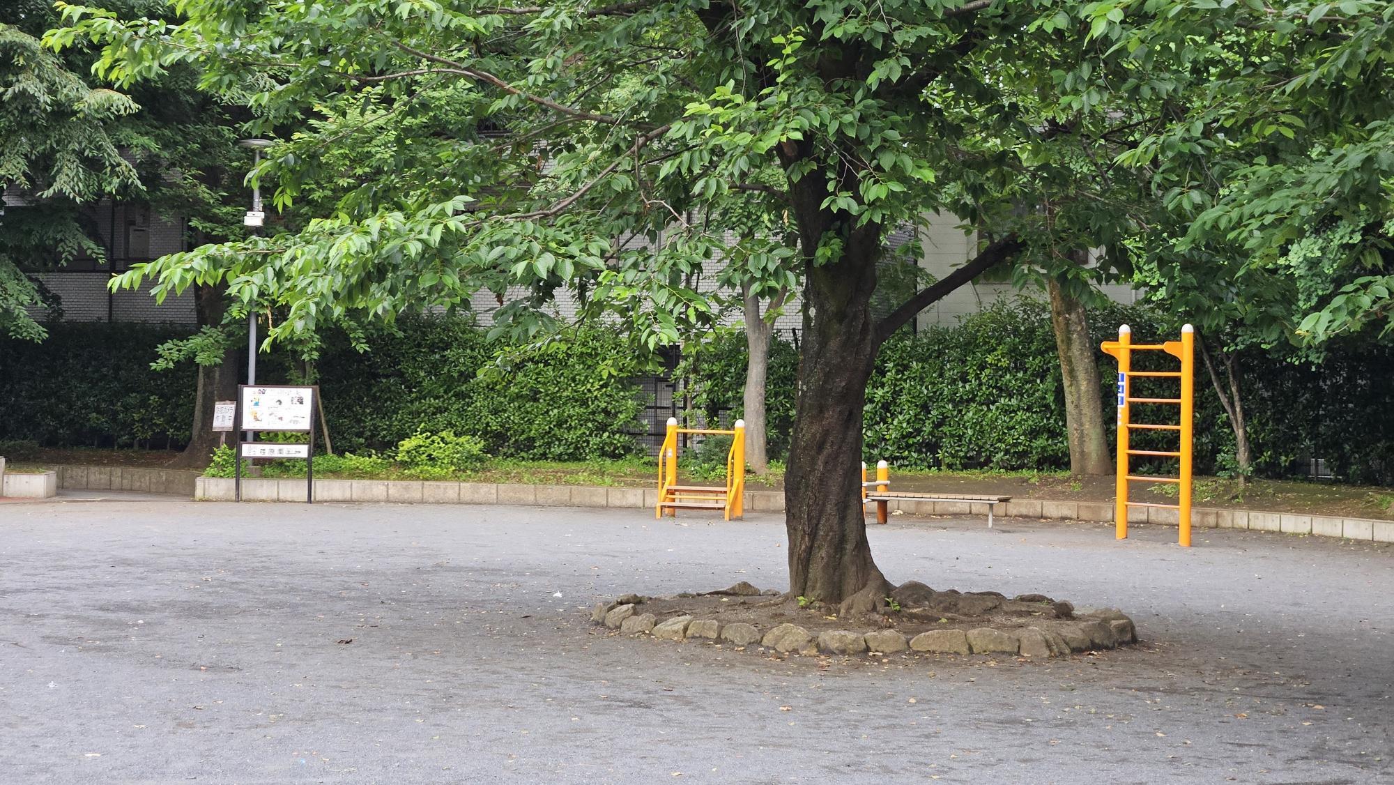品川区立荏原南公園