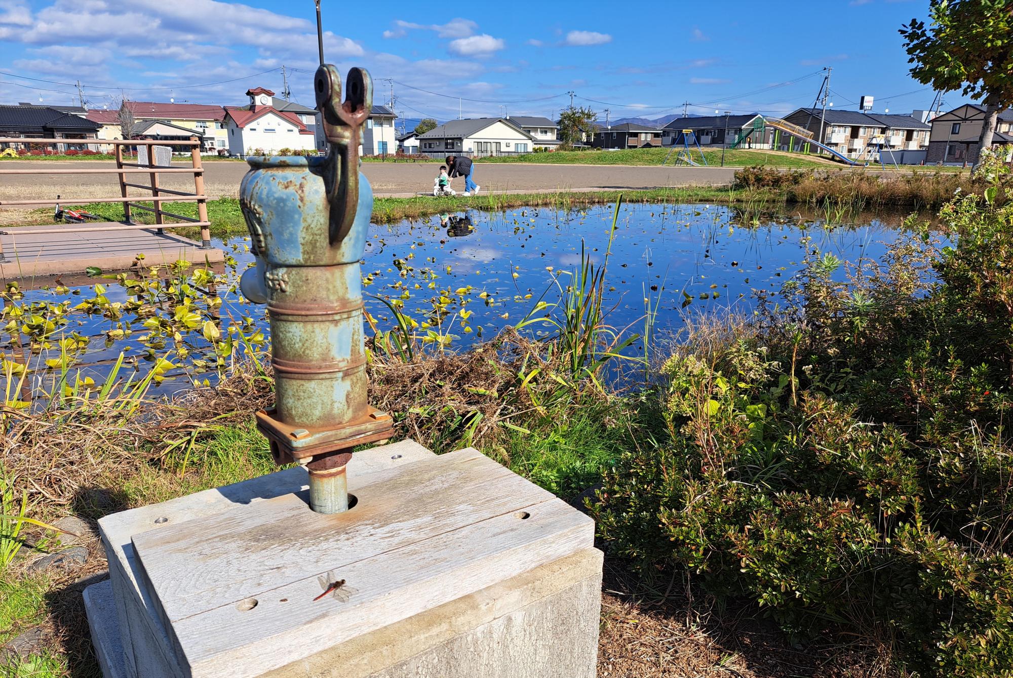 ぽちかち飯岡公園