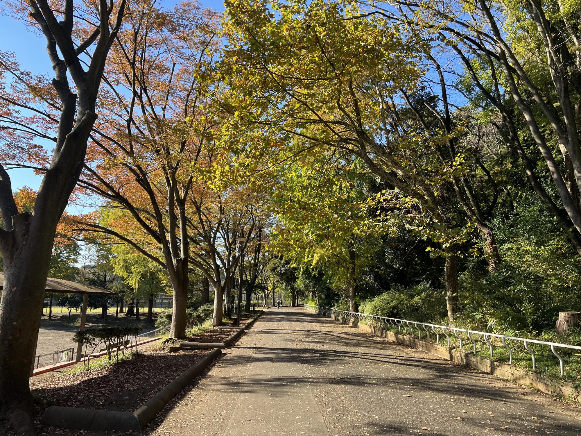 県立三ツ池公園