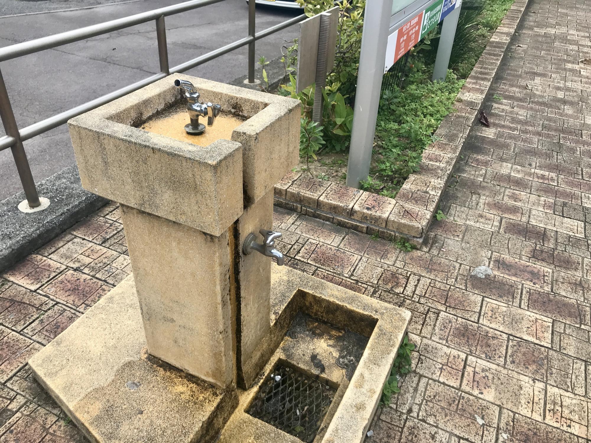 五月公園
