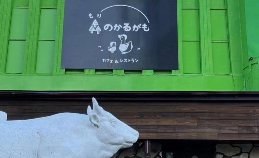 親子カフェ　森のかるがも