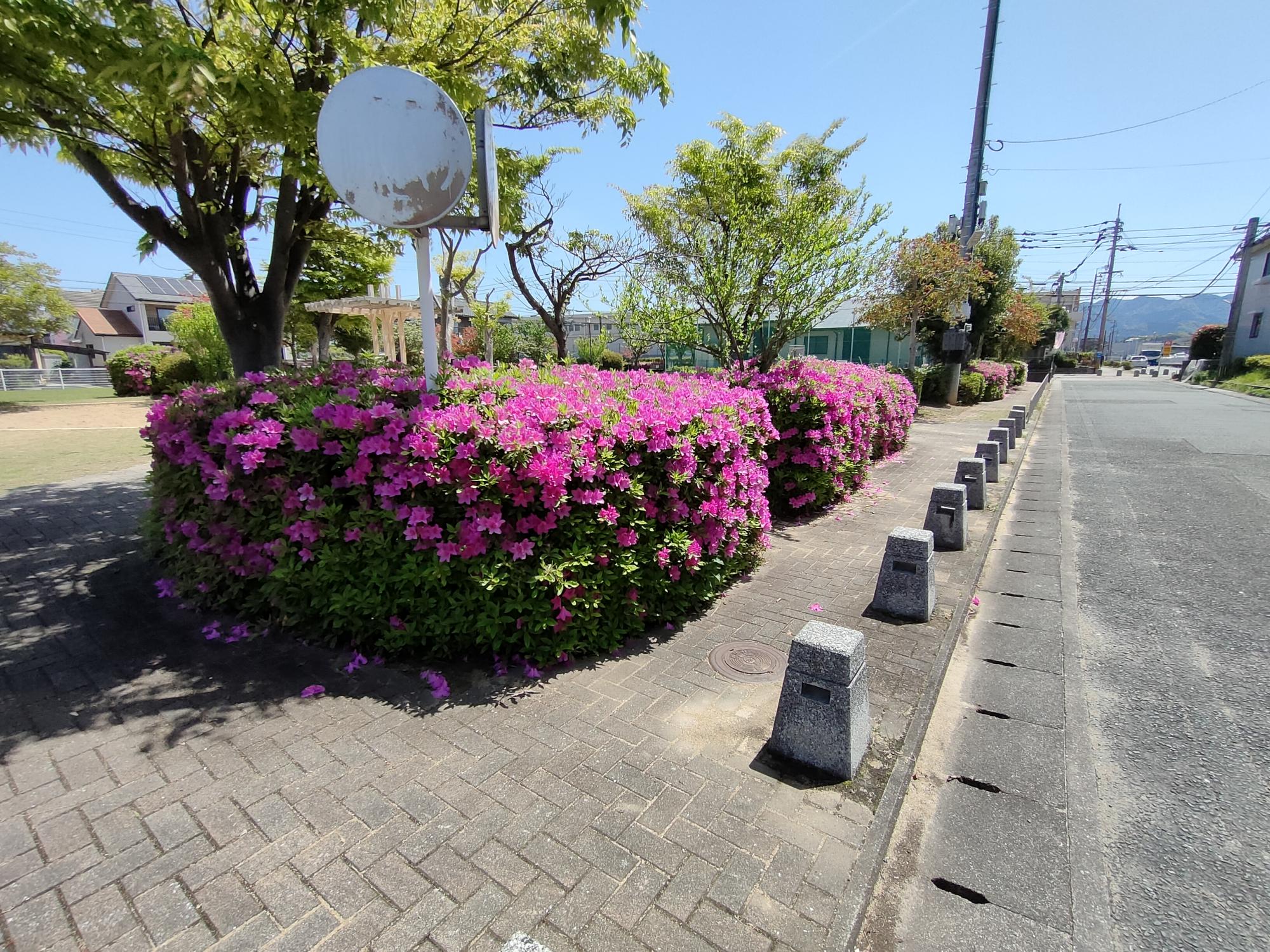 天崎公園