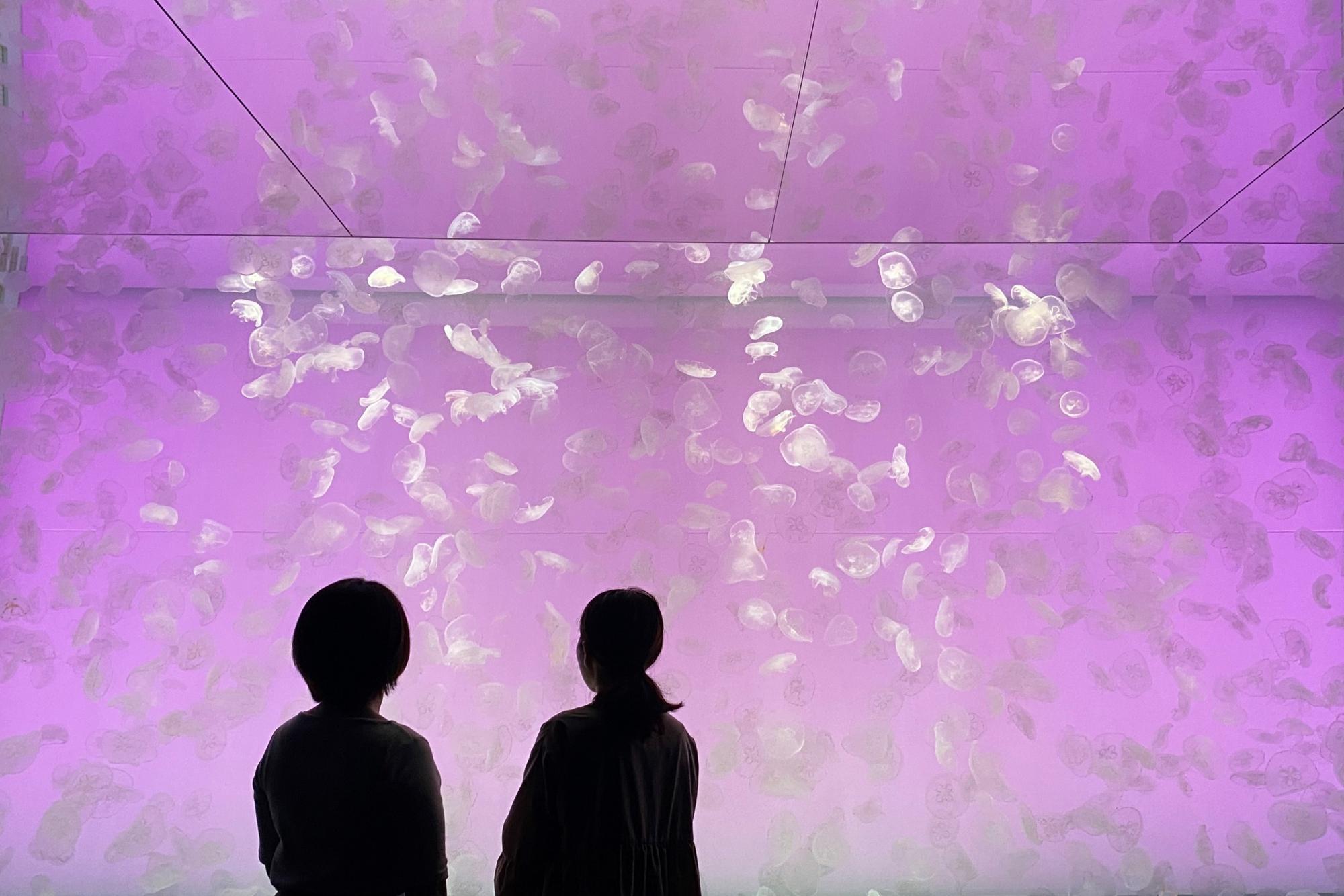 アクアワールド茨城県大洗水族館