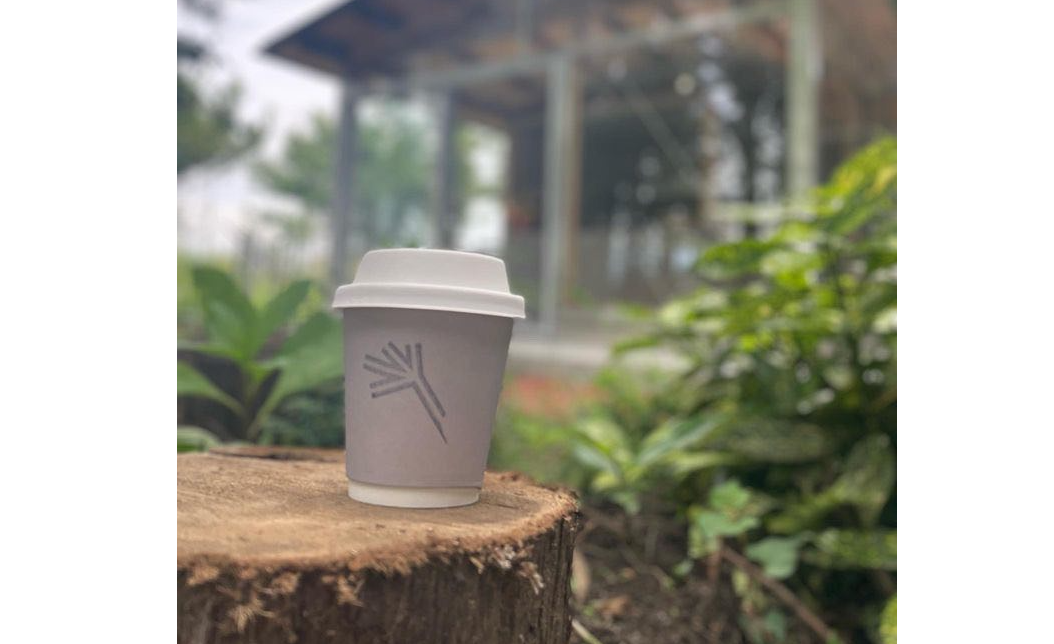 noki fork cafe（ノキ フォーク カフェ）