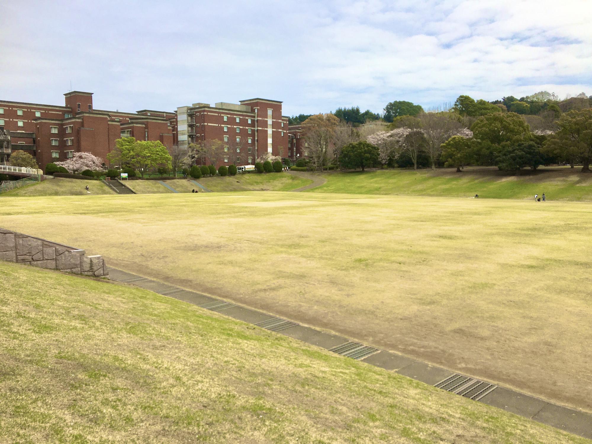 県立大学広場
