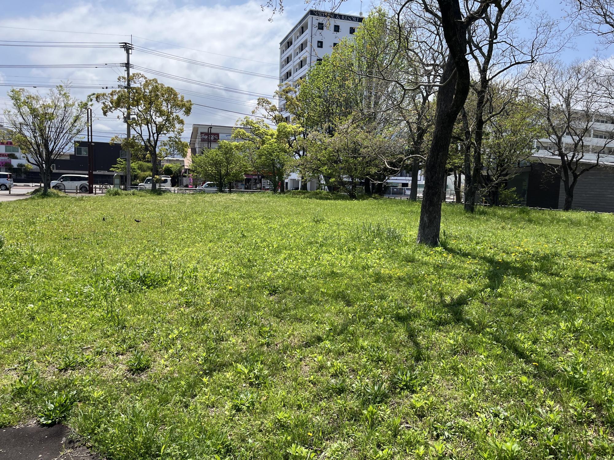 壱岐団地中央公園