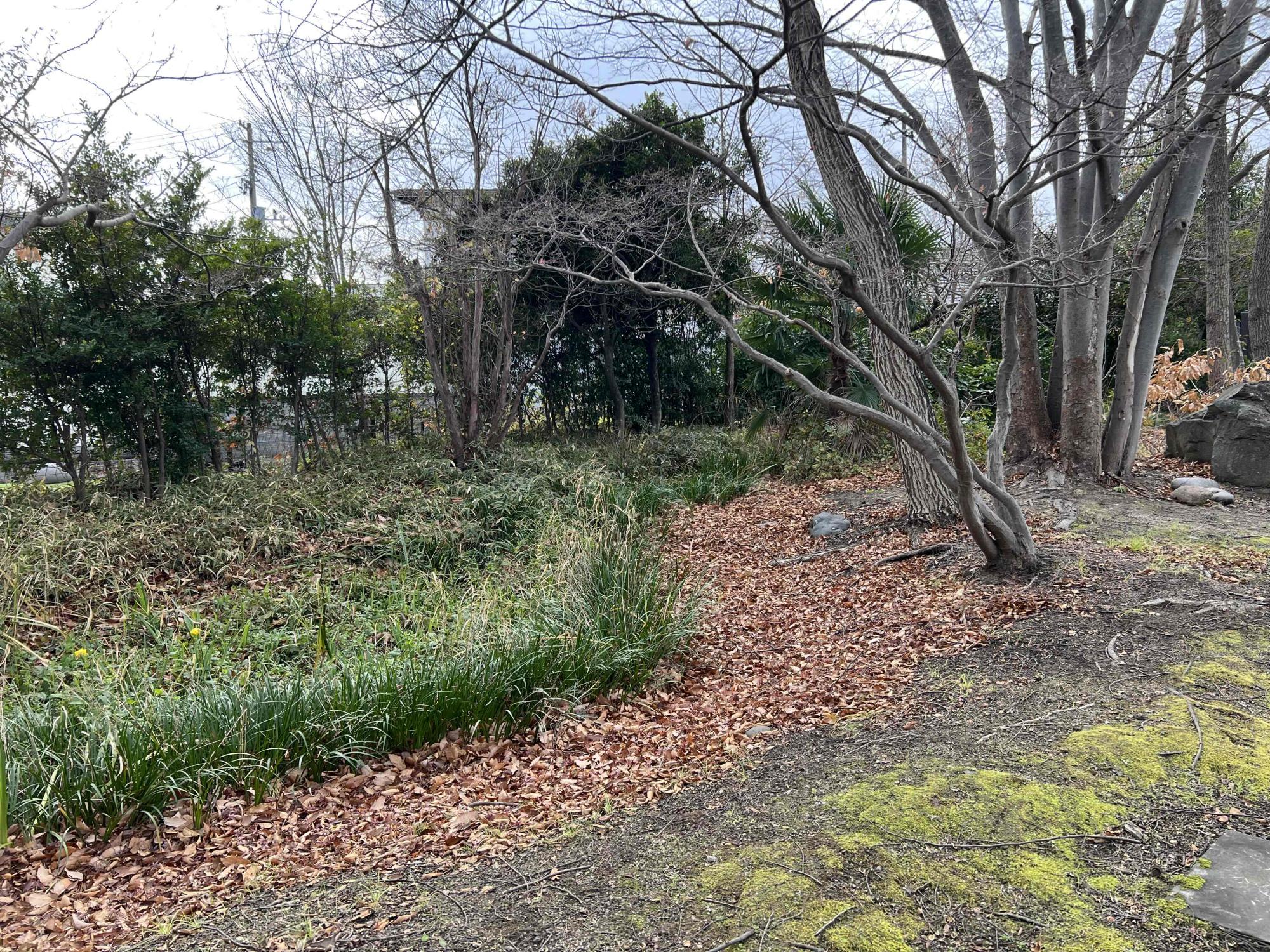清水ほたるのせせらぎ公園