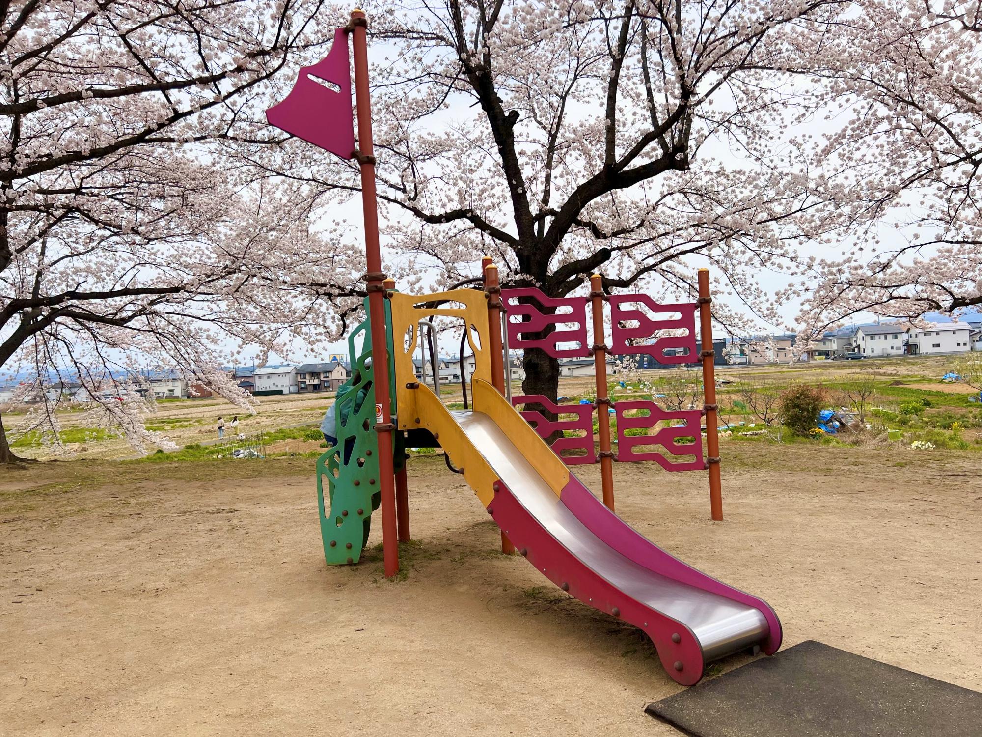 荒川桜づつみ河川公園