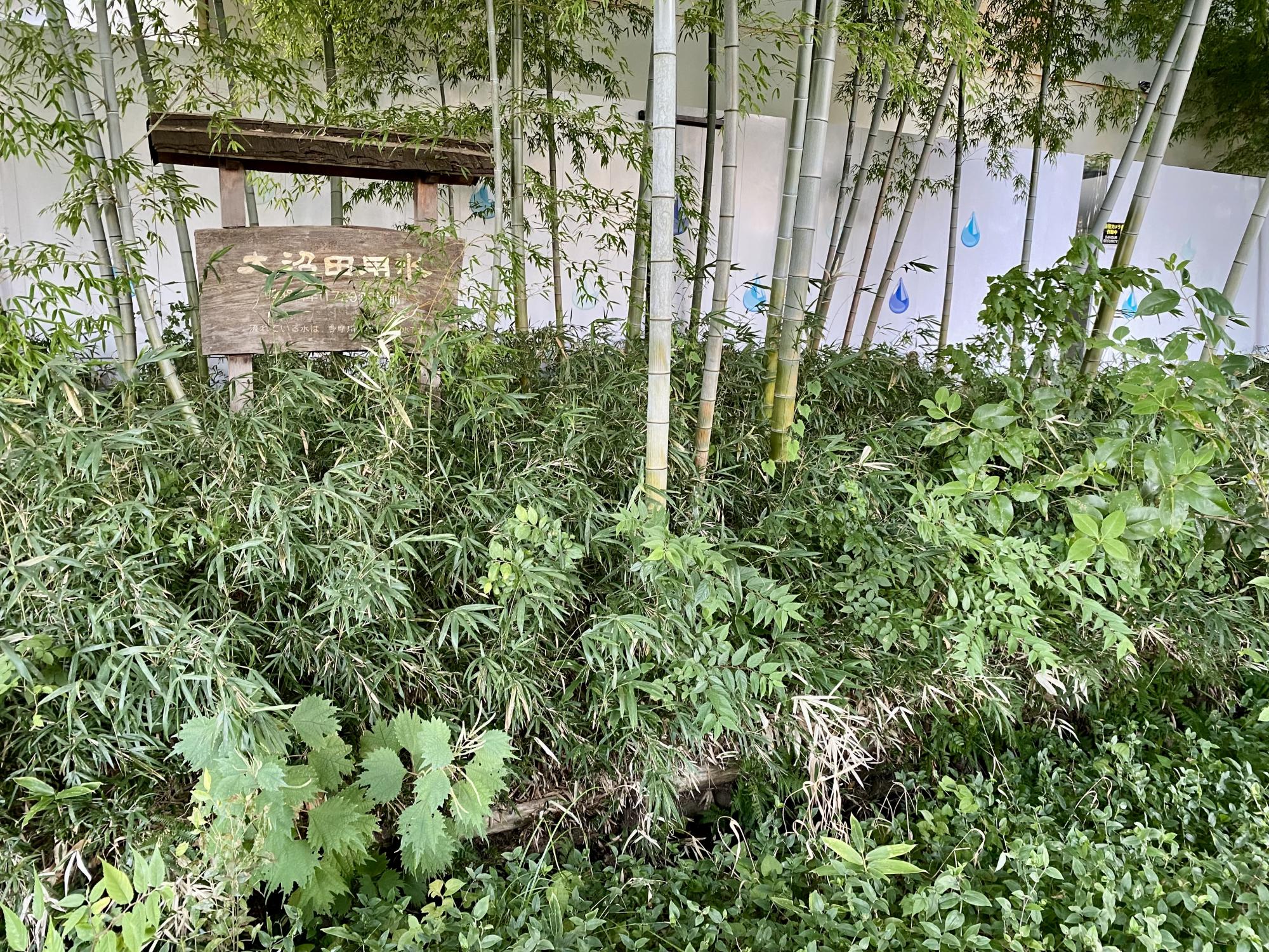 小平グリーンロード親水公園