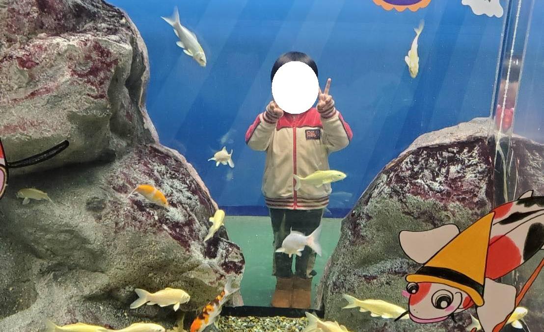 魚津水族館｜富山　魚津　おでかけ