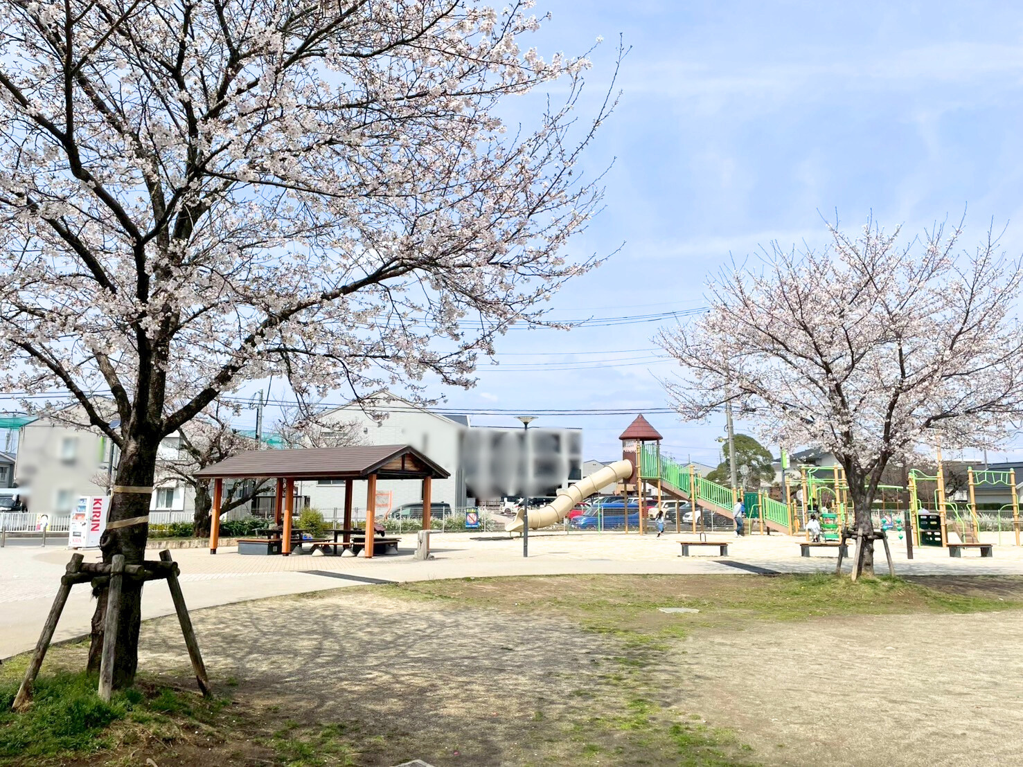 大枝公園